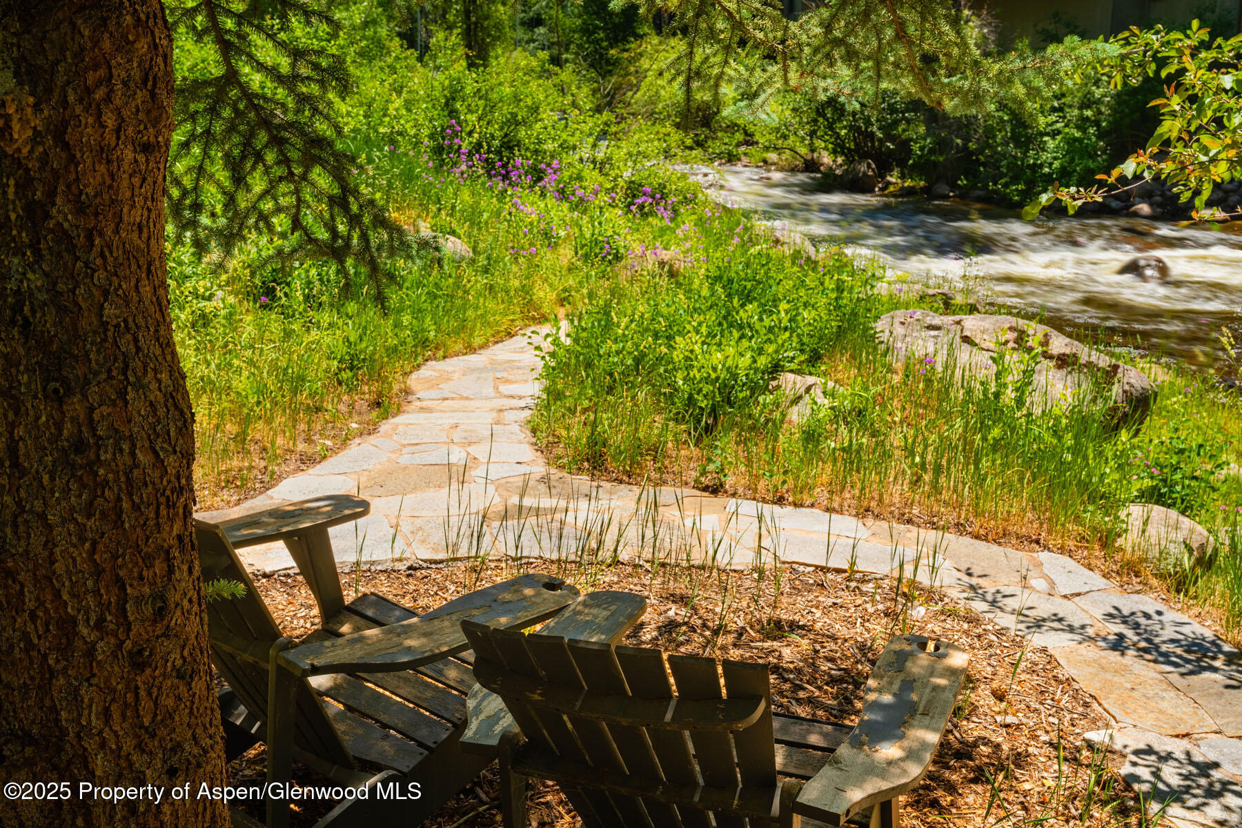 979 Queen Street Aspen CO 81611