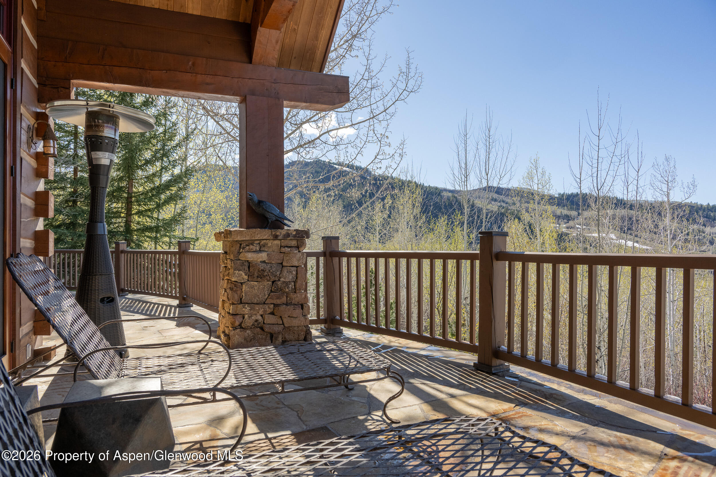 56 Five Trees Lane Aspen CO 81611