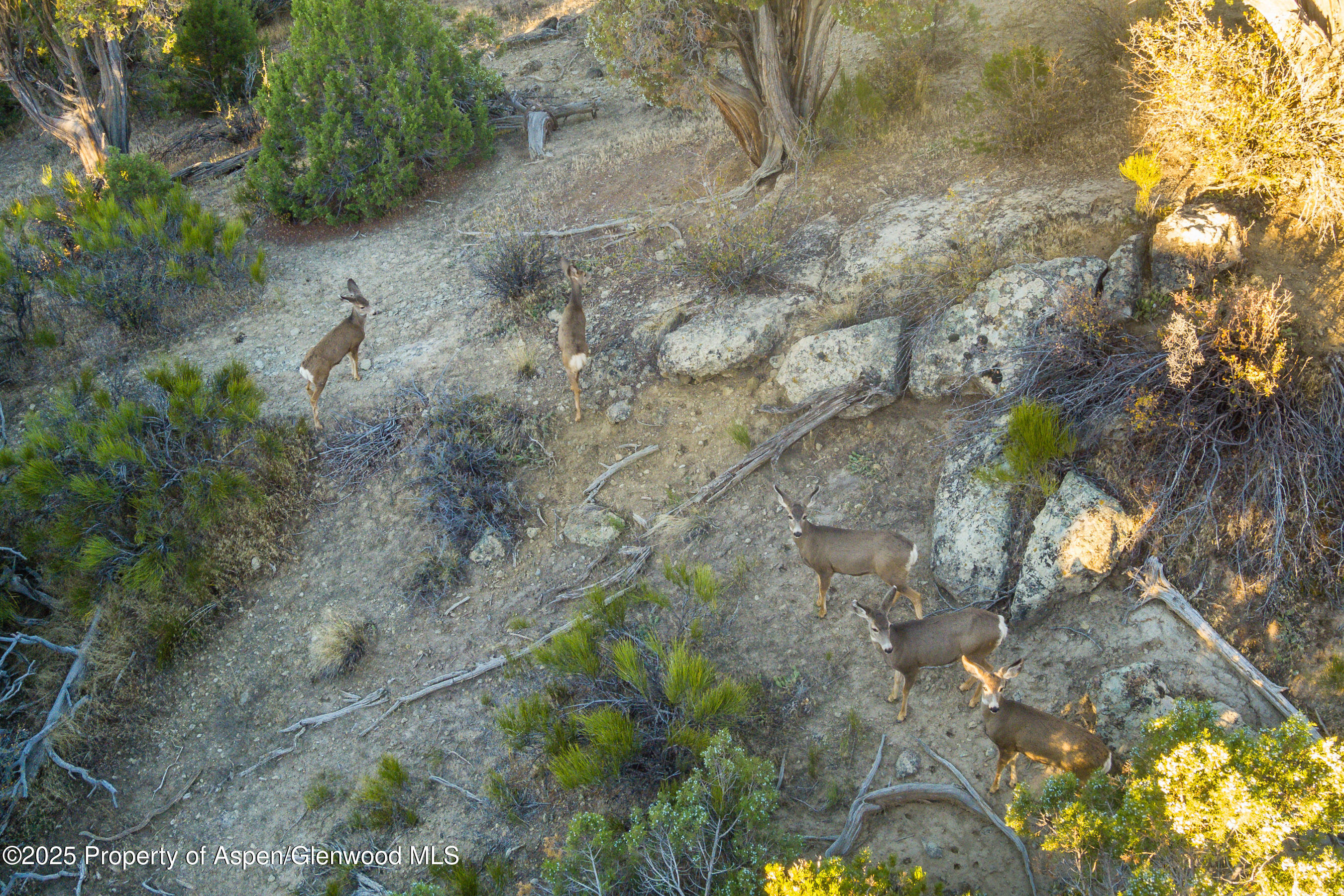 1212 County Road 238 Road Silt CO 81652