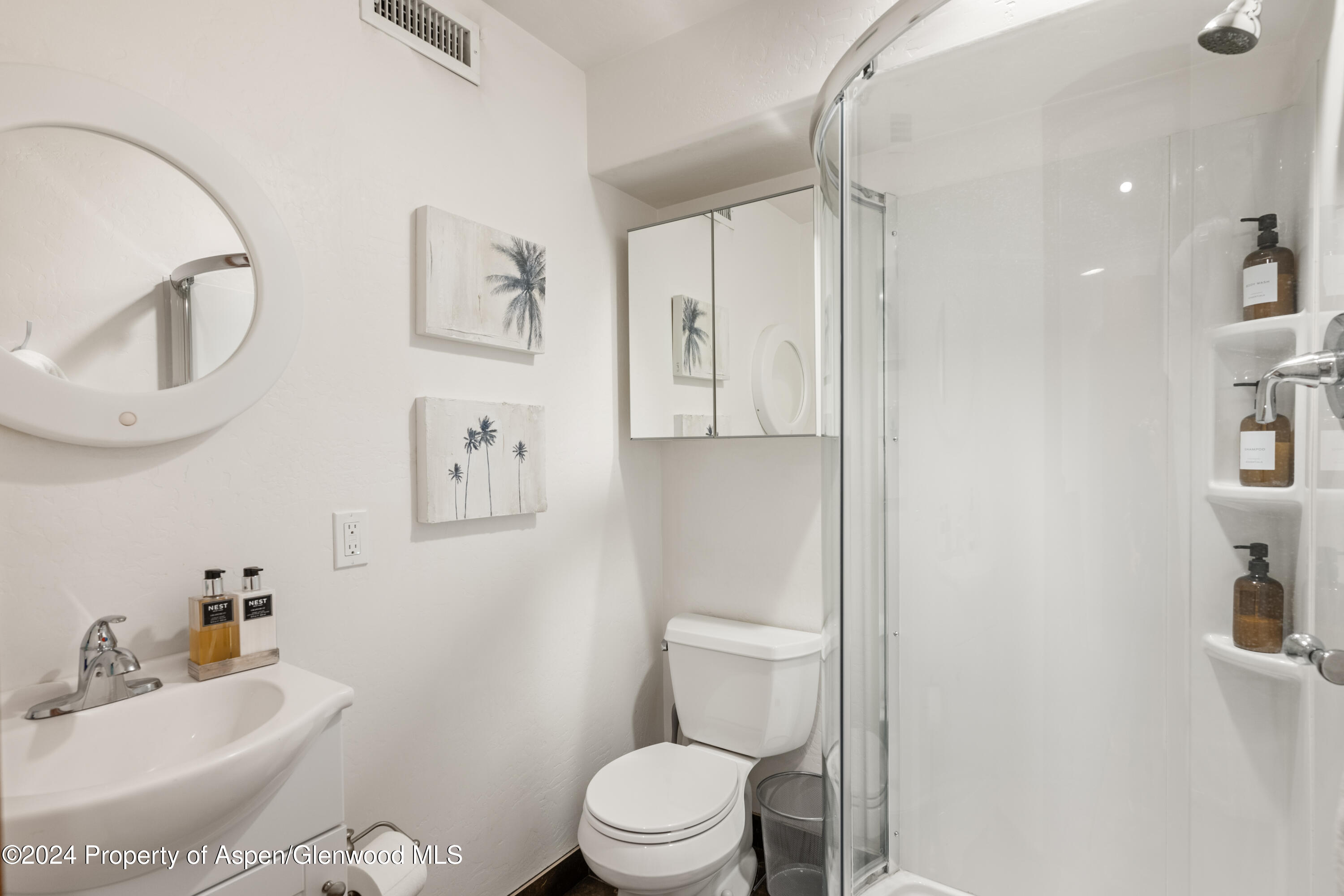 630 W Sopris Creek Road Basalt CO 81621