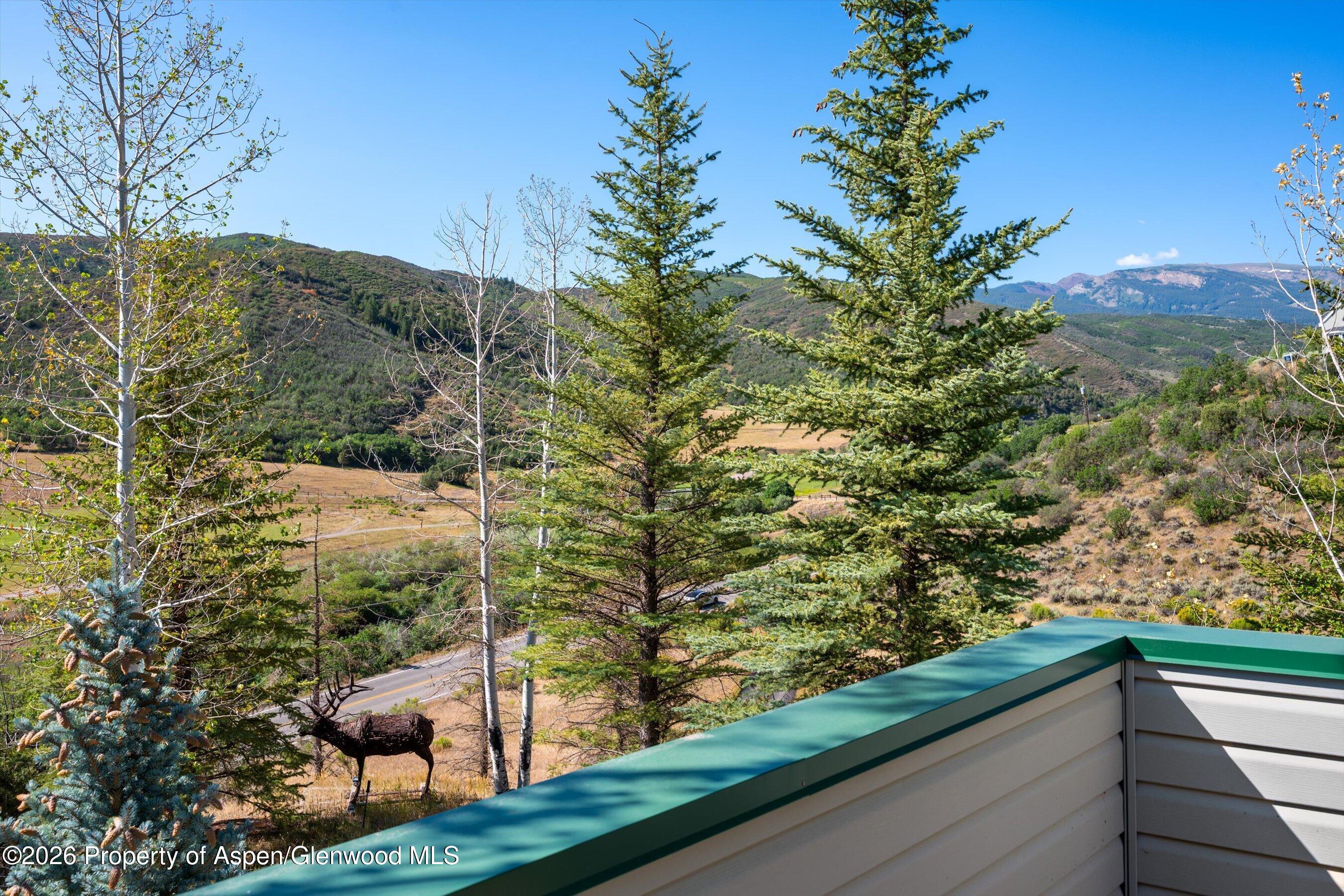 553 Brush Creek Road Aspen CO 81611