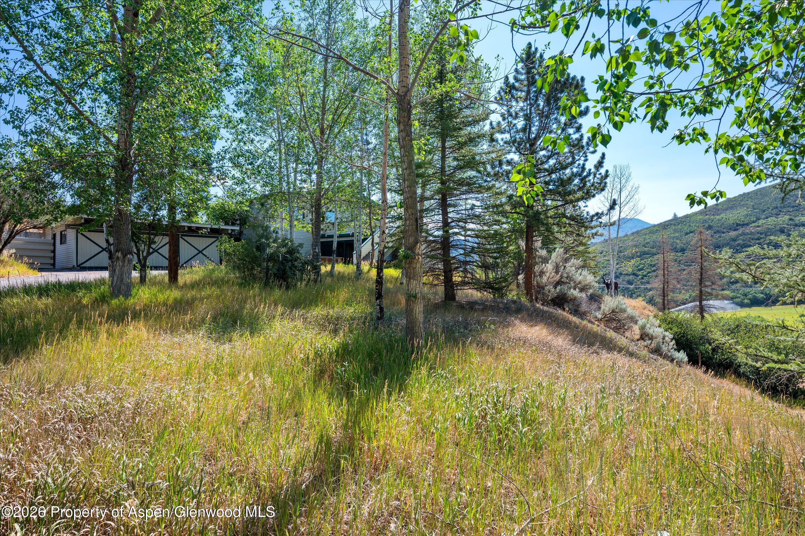 553 Brush Creek Road Aspen CO 81611
