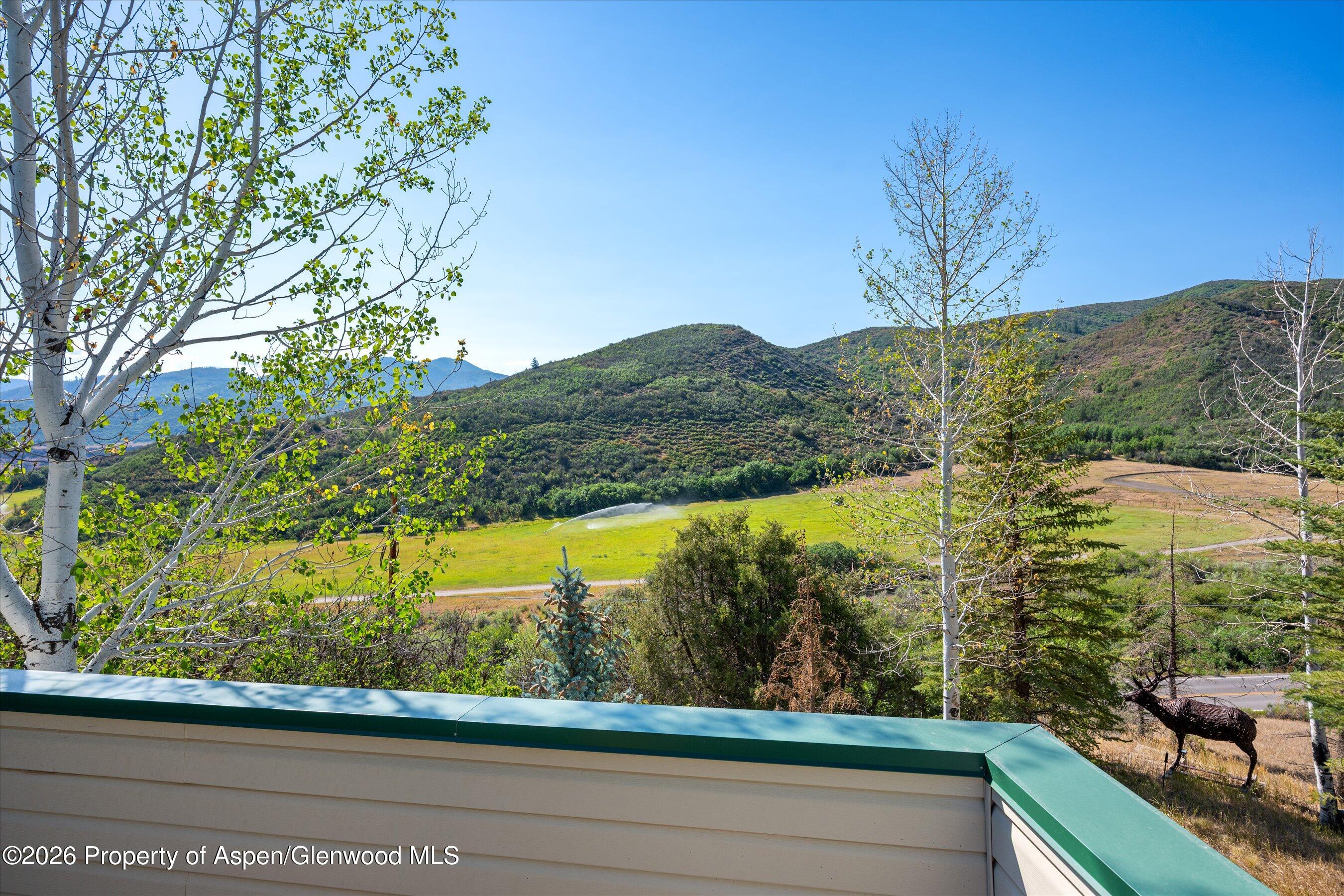 553 Brush Creek Road Aspen CO 81611