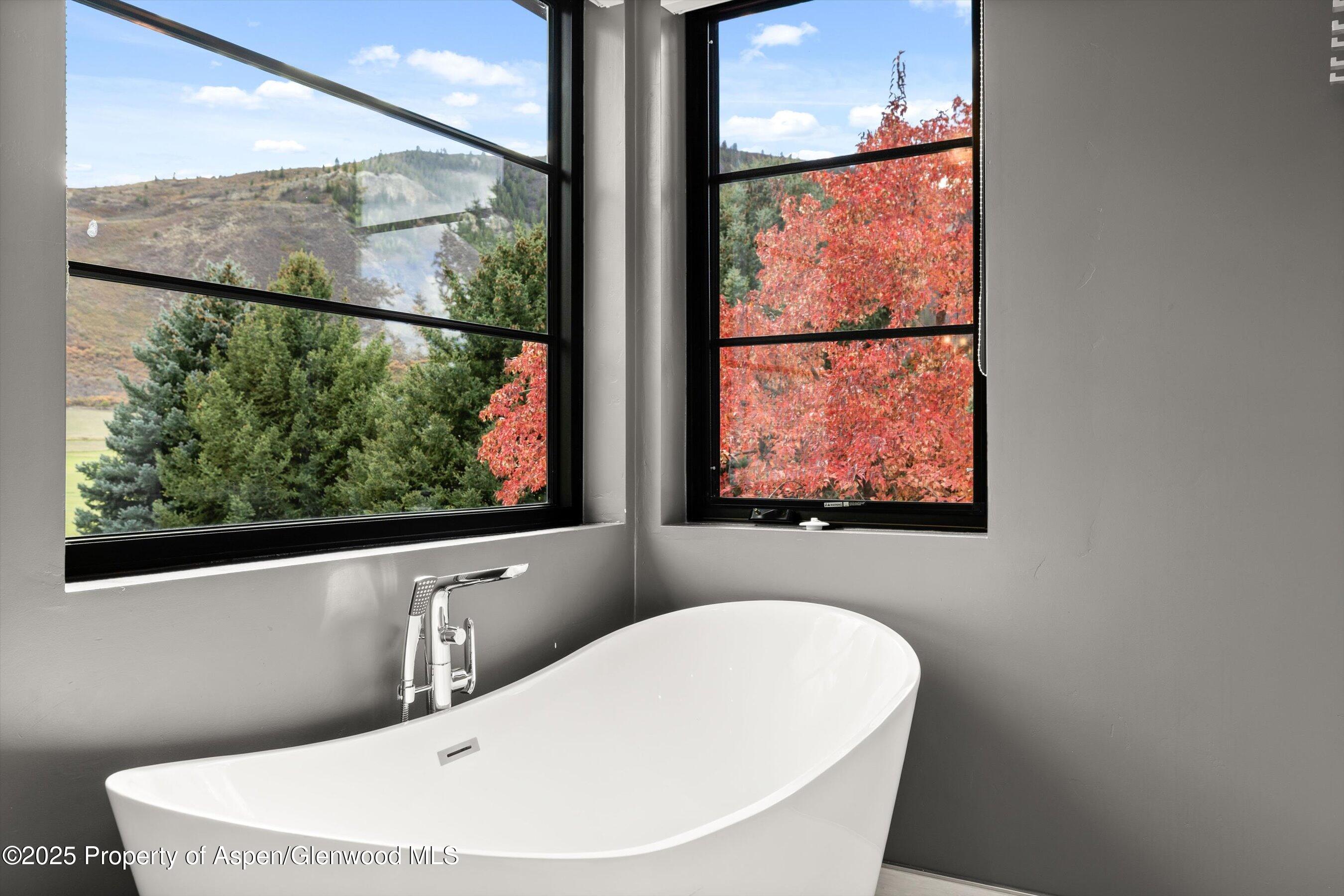 373 & 375 Apple Drive Basalt CO 81621