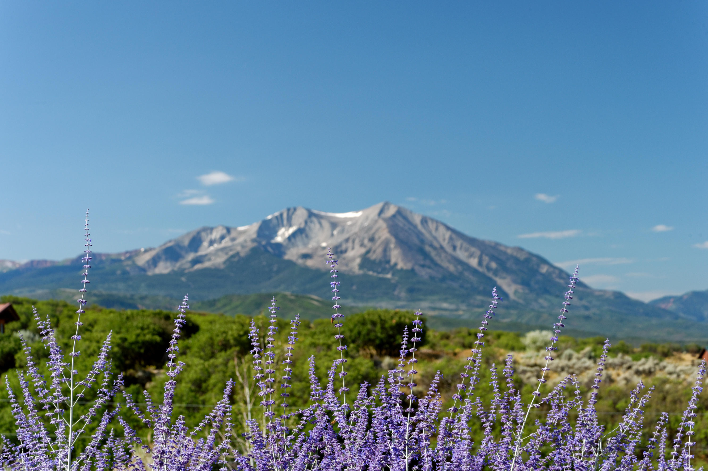 109 Basalt Mountain Drive Carbondale CO 81623