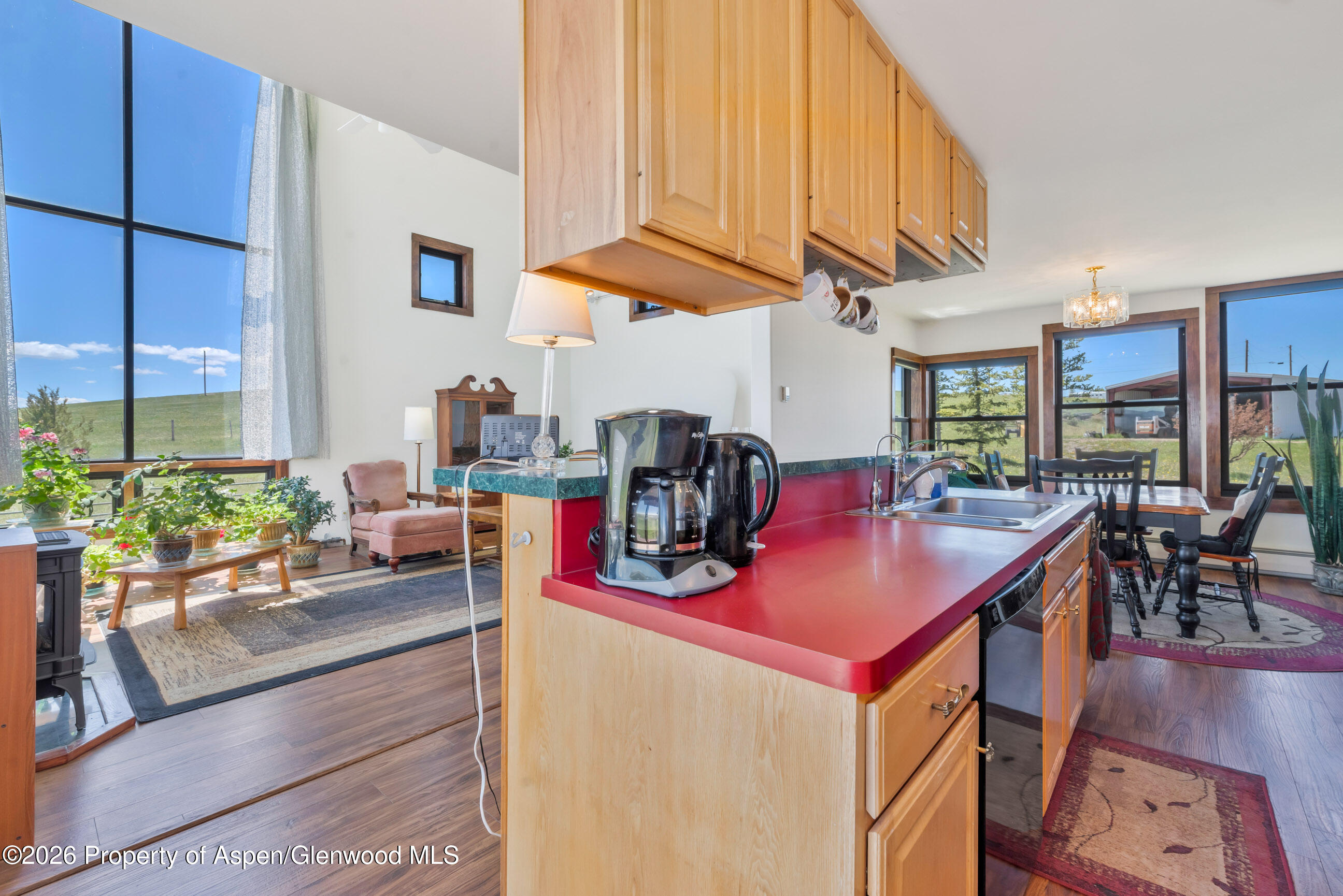 42255 Lookout Lane Hayden CO 81639