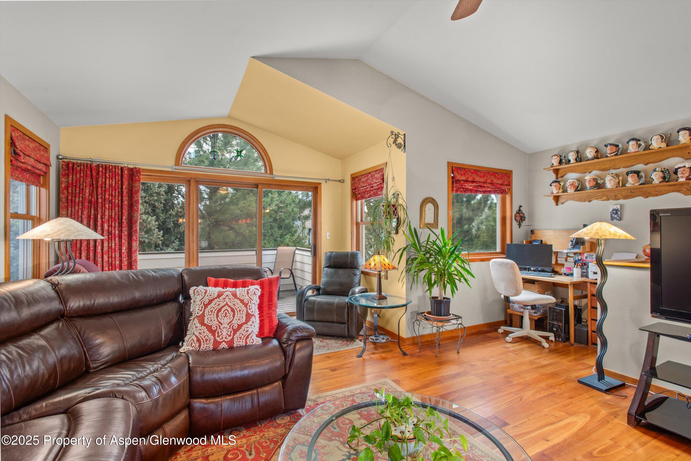 1219 Ivy Lane Carbondale CO 81623