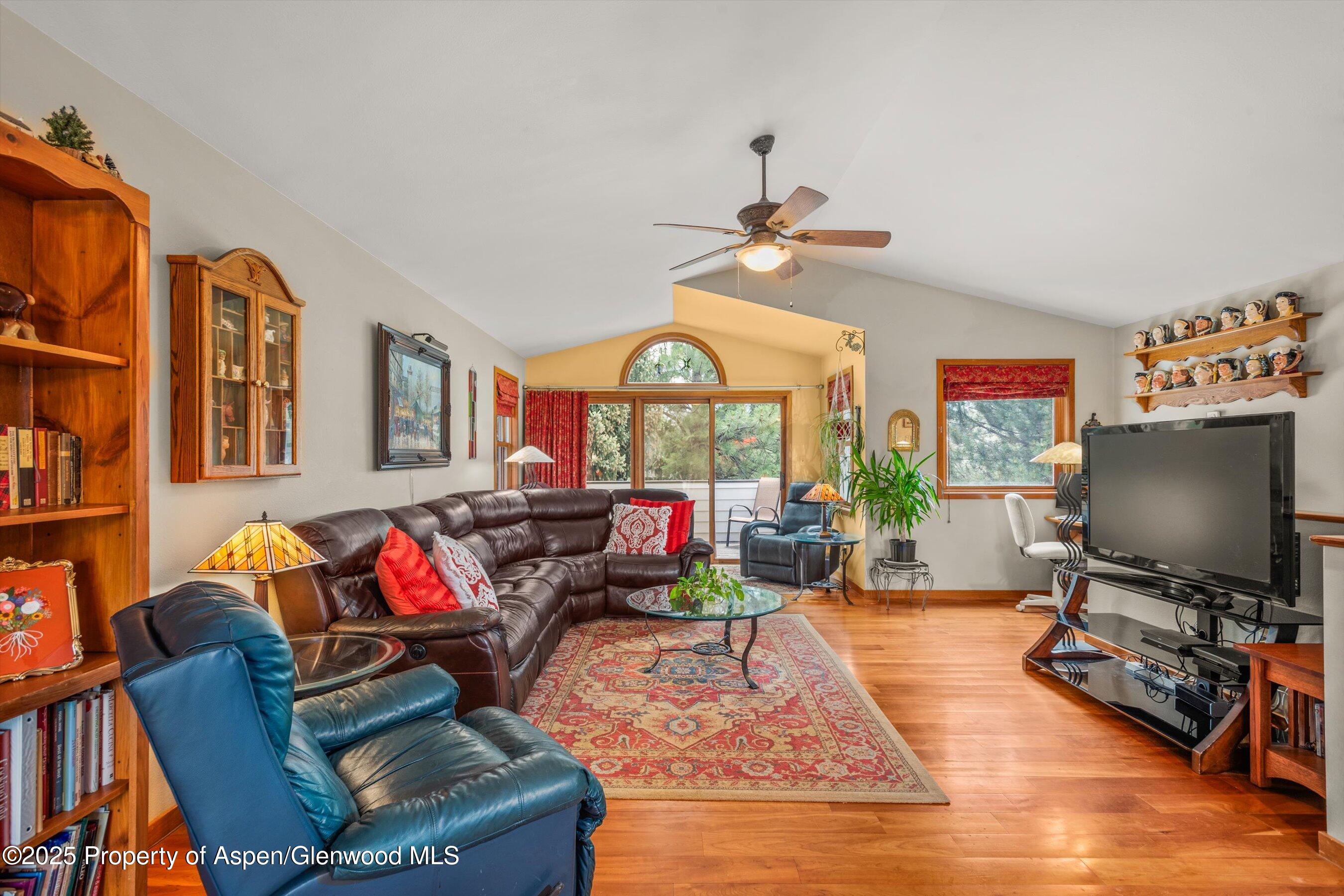 1219 Ivy Lane Carbondale CO 81623