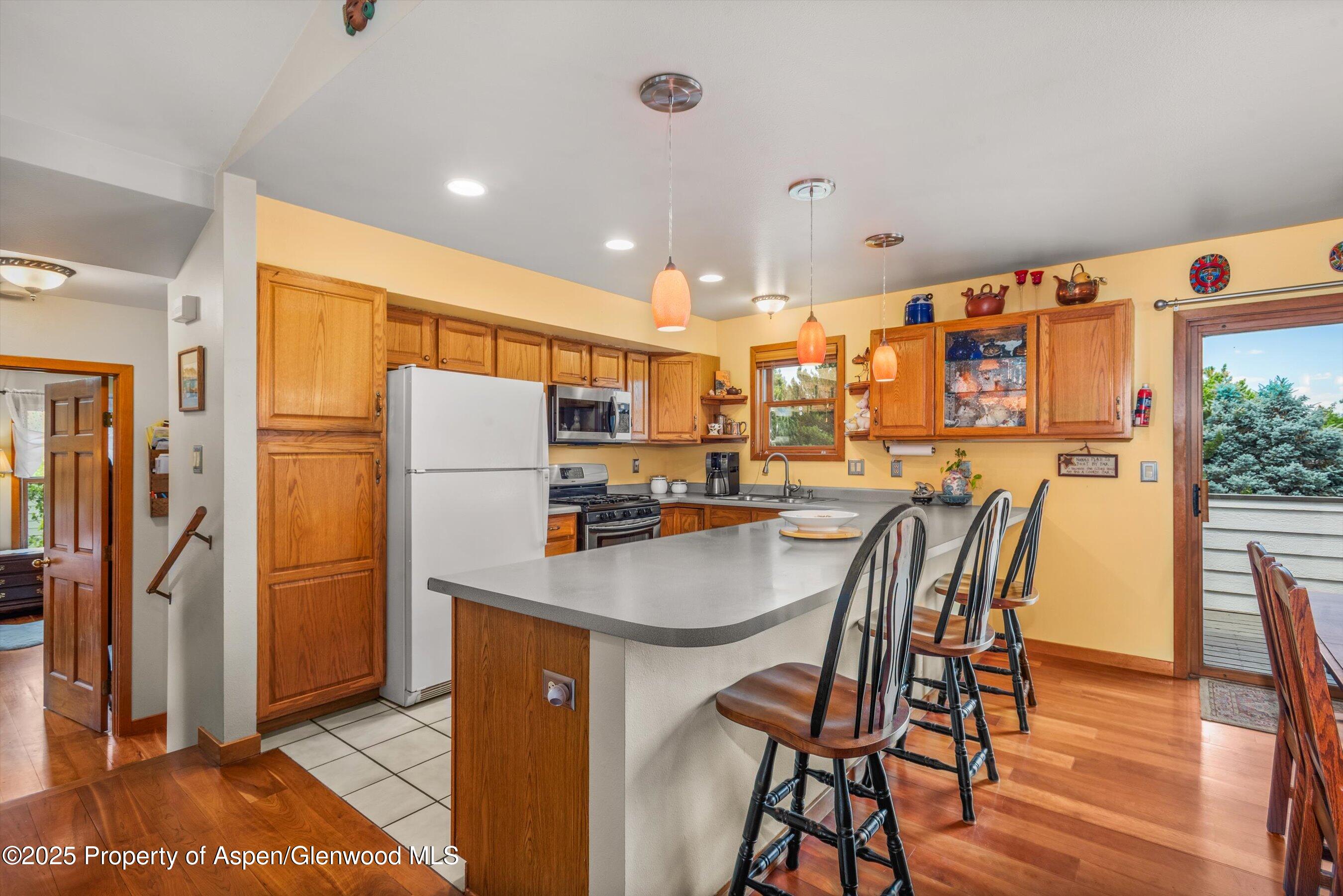 1219 Ivy Lane Carbondale CO 81623