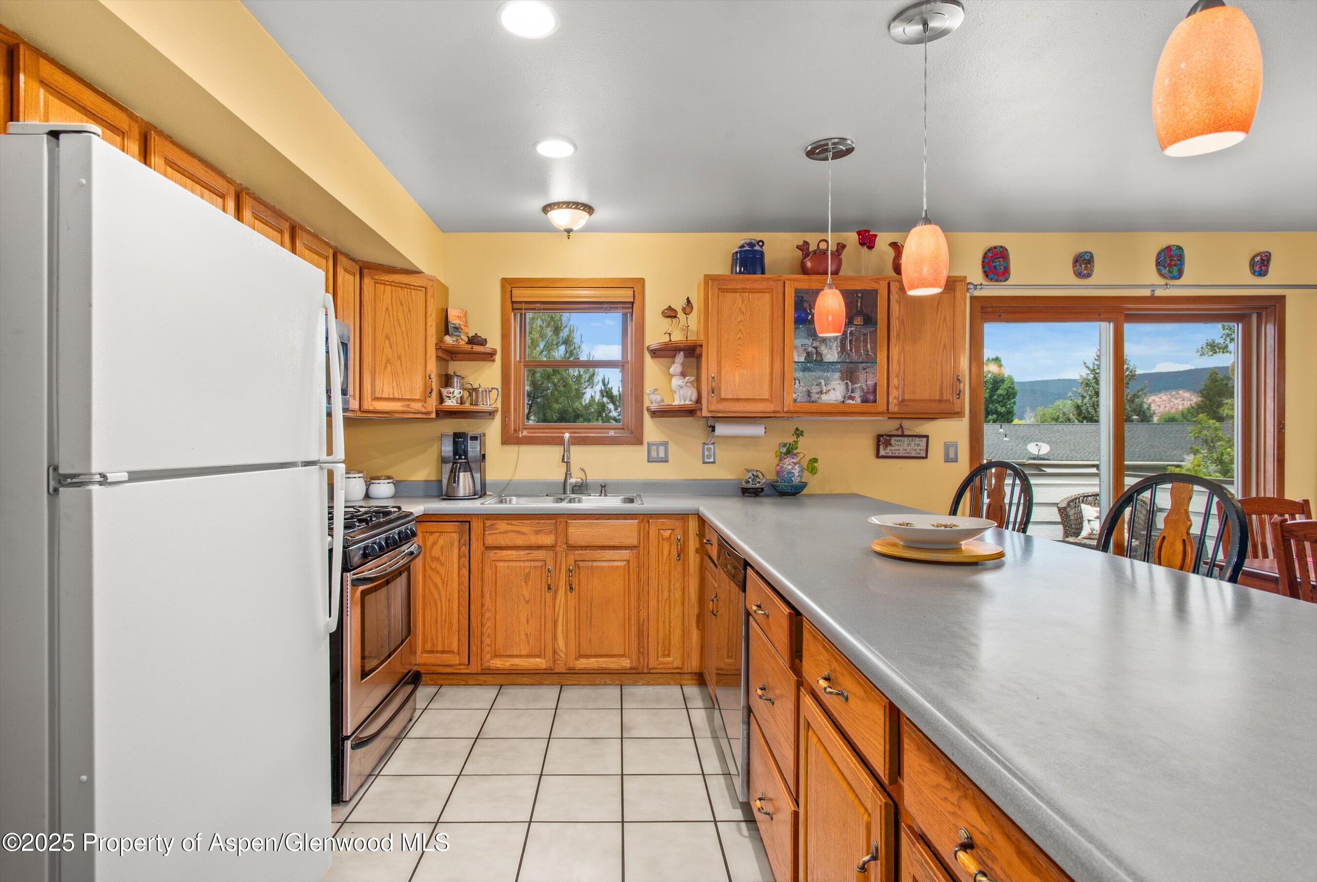 1219 Ivy Lane Carbondale CO 81623