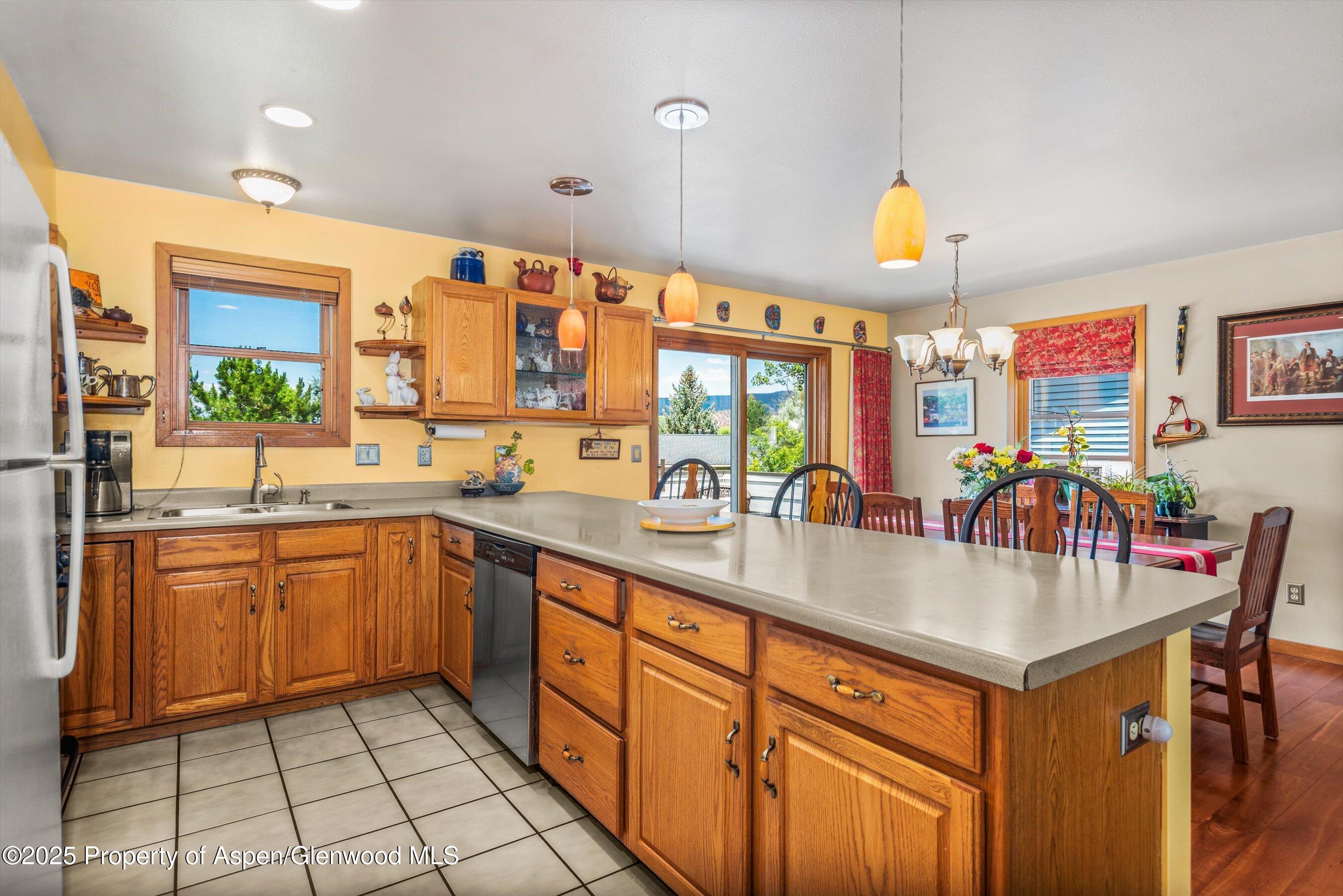 1219 Ivy Lane Carbondale CO 81623