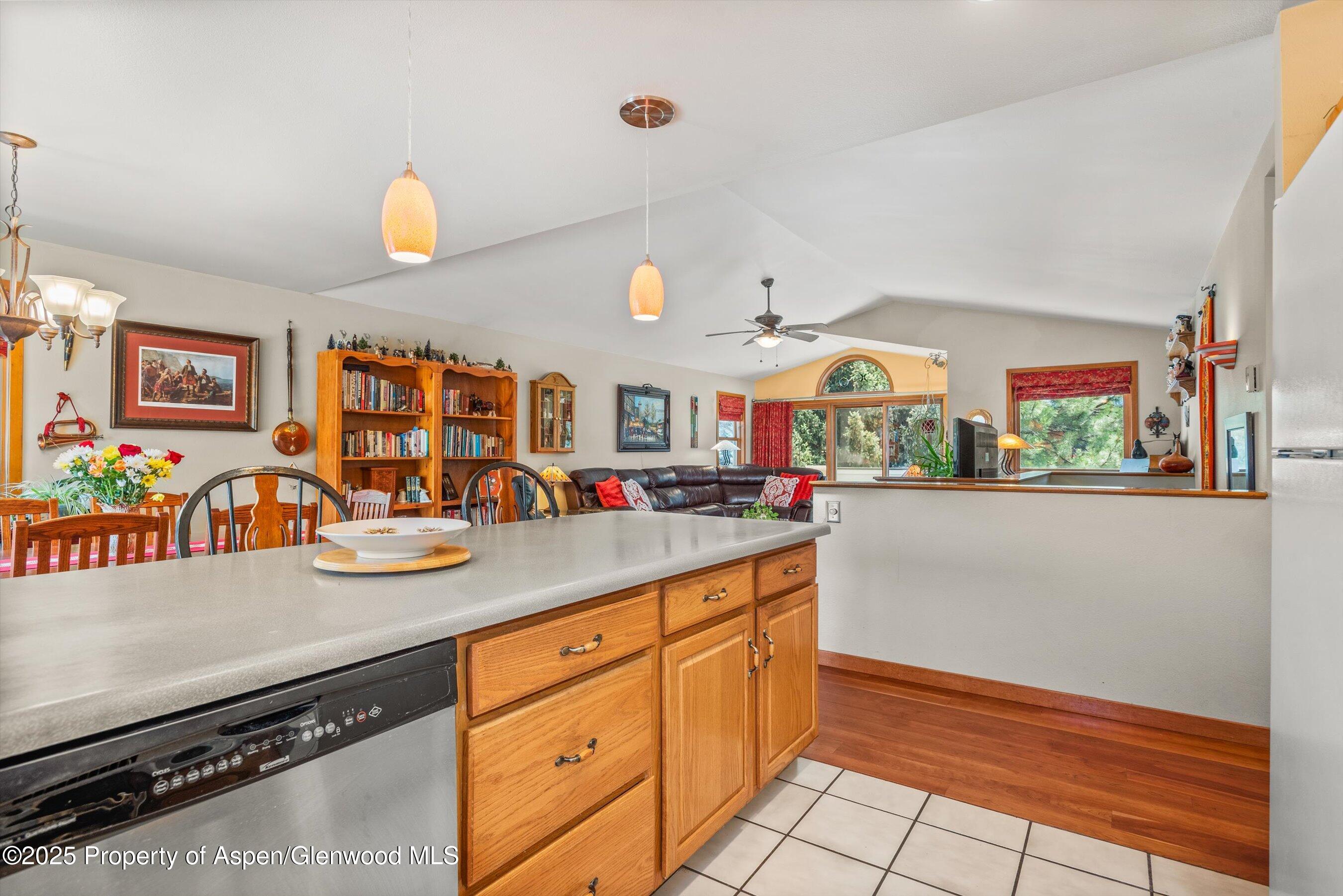 1219 Ivy Lane Carbondale CO 81623