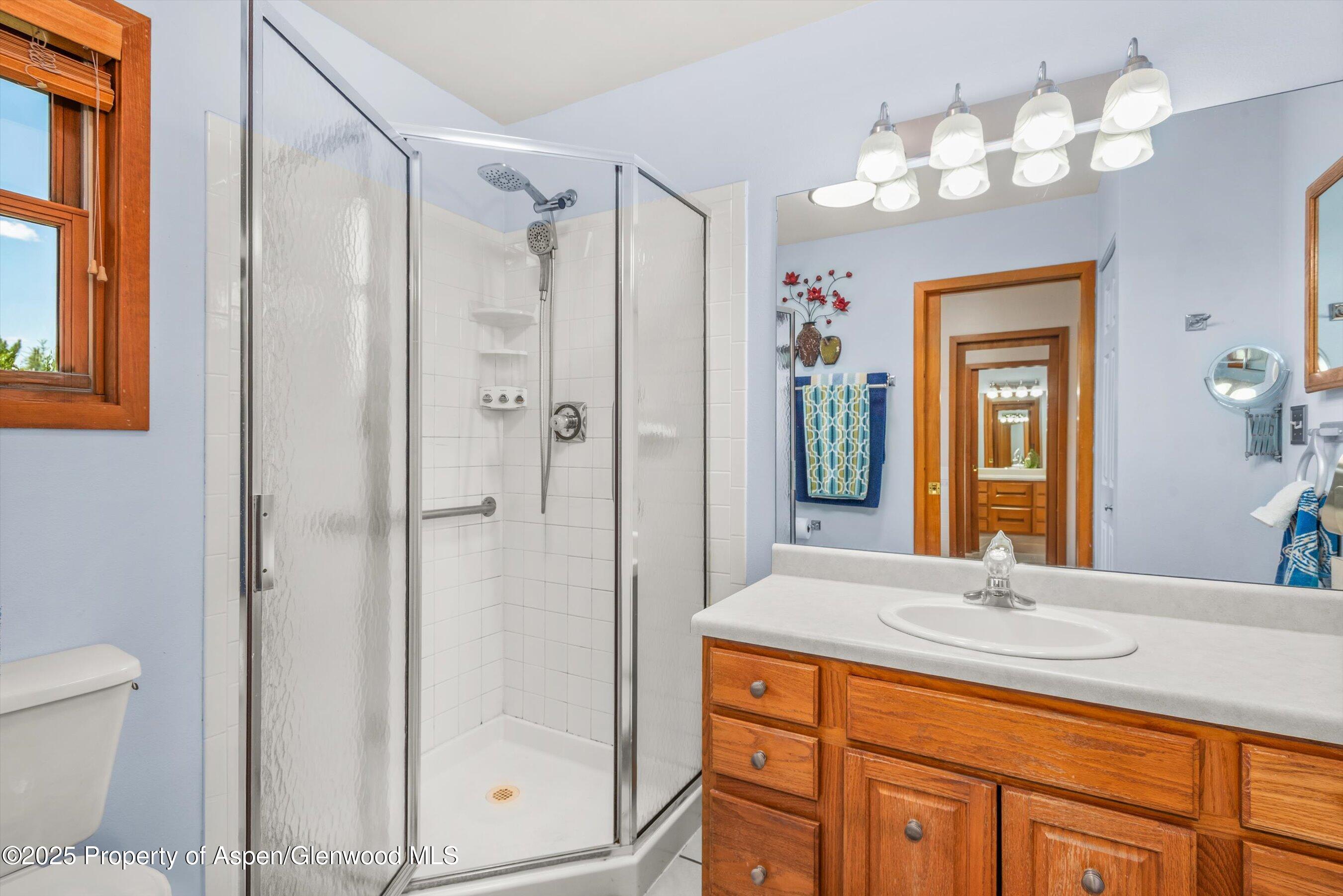 1219 Ivy Lane Carbondale CO 81623
