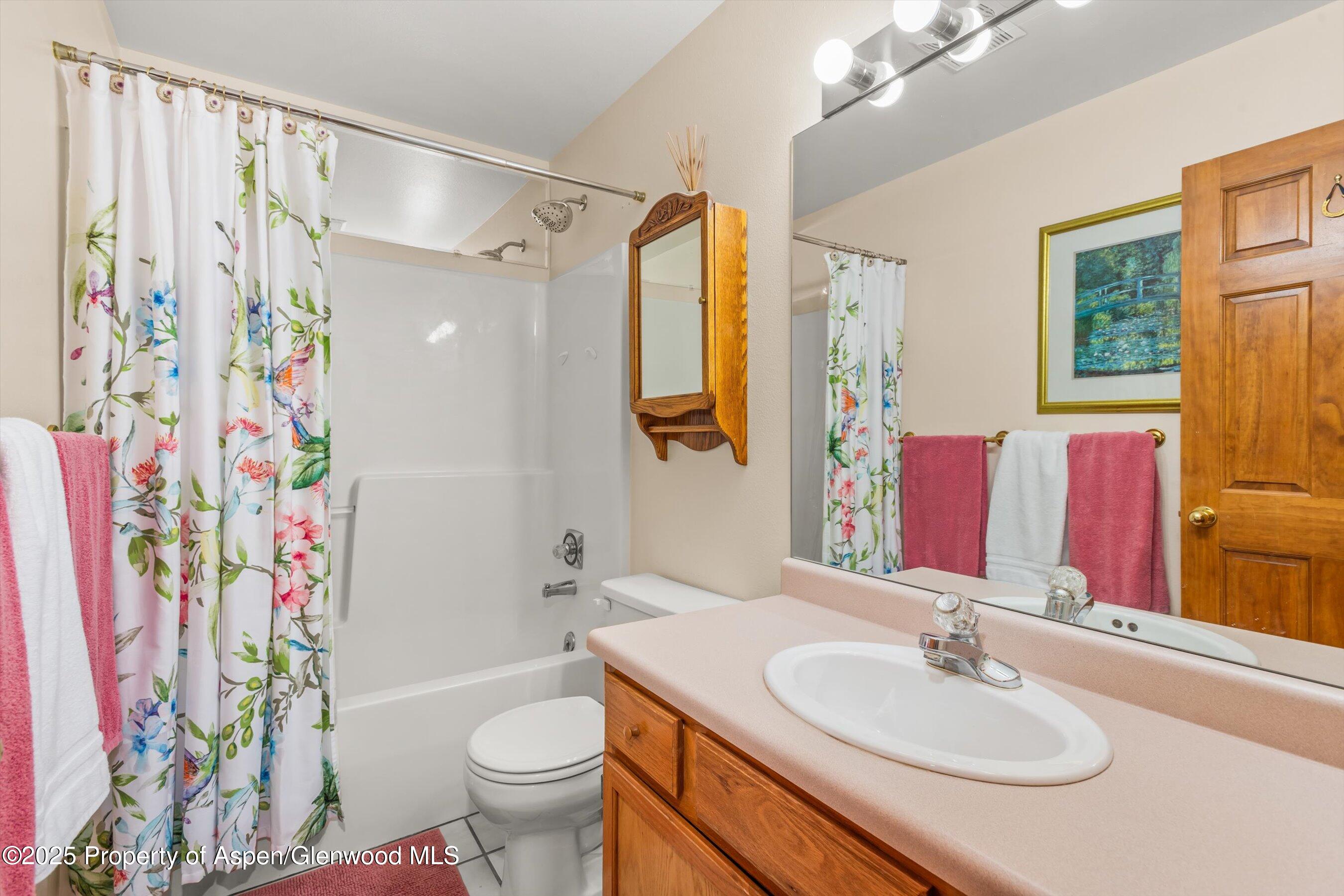 1219 Ivy Lane Carbondale CO 81623