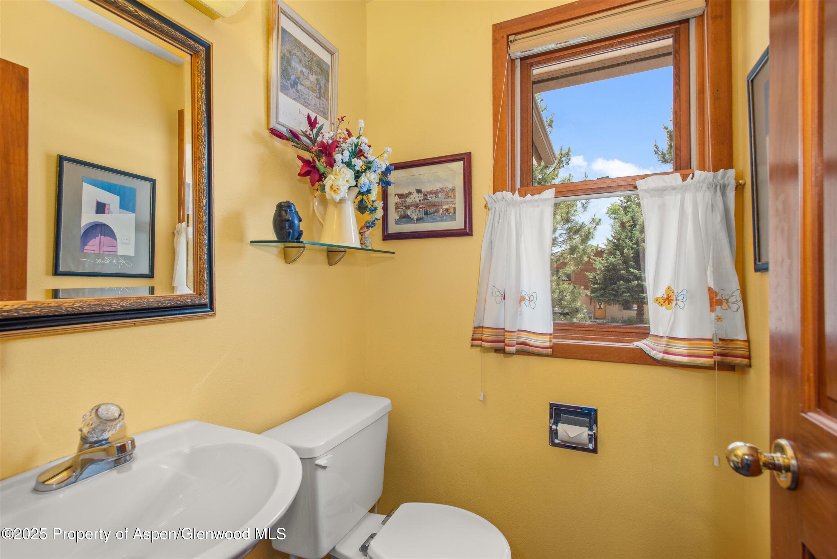 1219 Ivy Lane Carbondale CO 81623