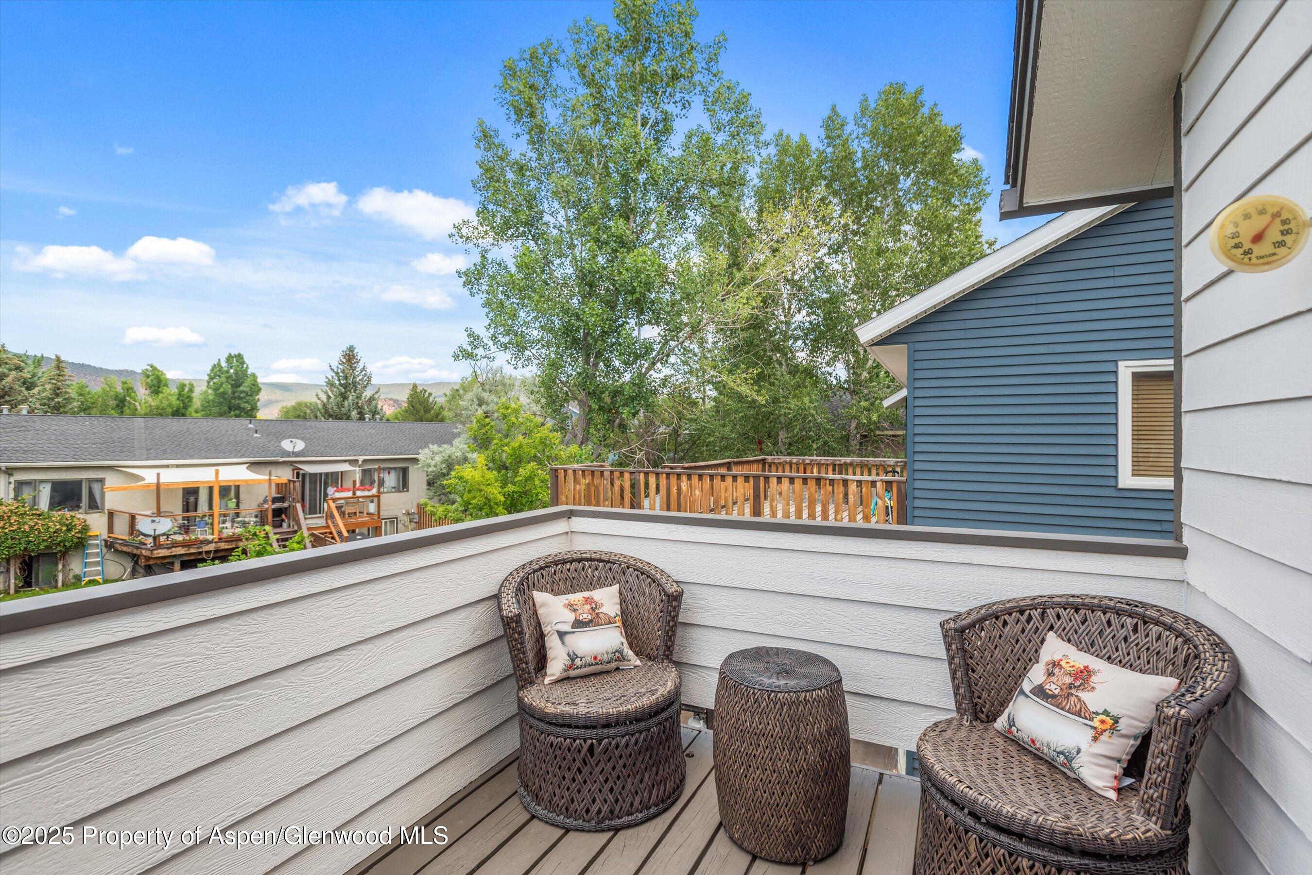 1219 Ivy Lane Carbondale CO 81623