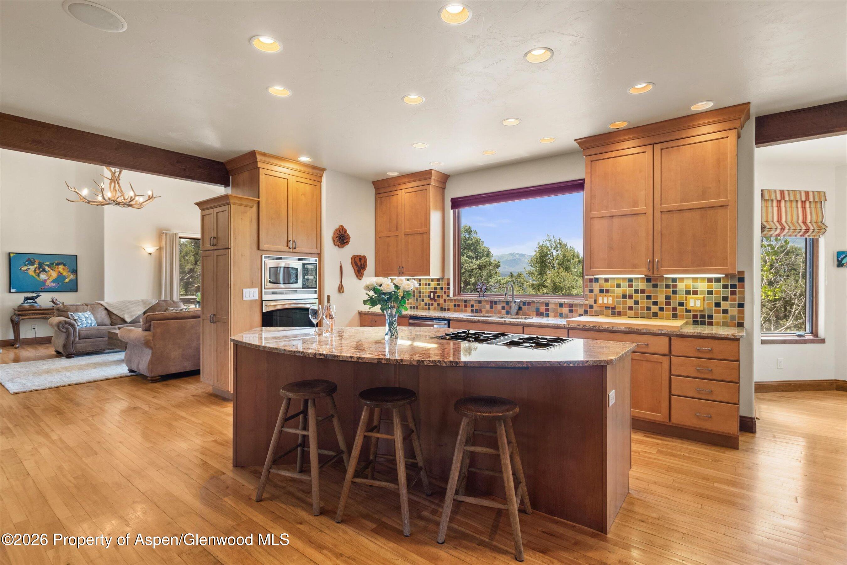 1155 Elk Springs Drive Glenwood Springs CO 81601