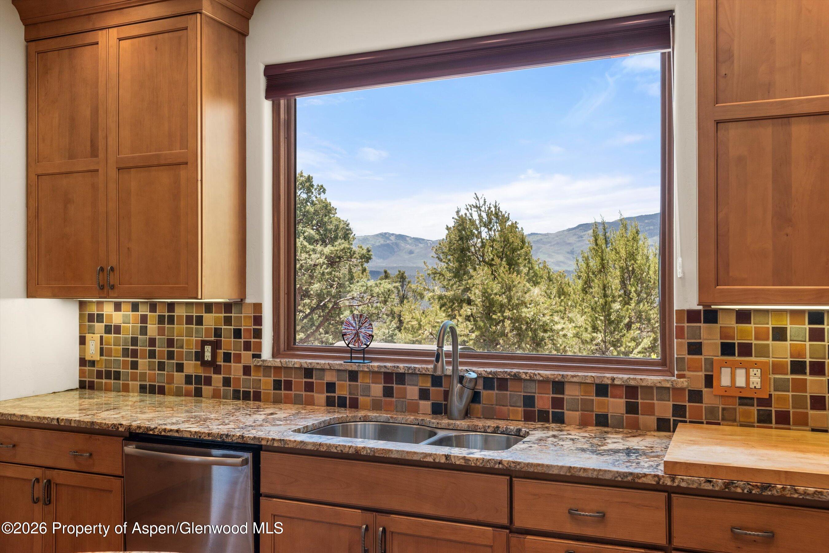 1155 Elk Springs Drive Glenwood Springs CO 81601