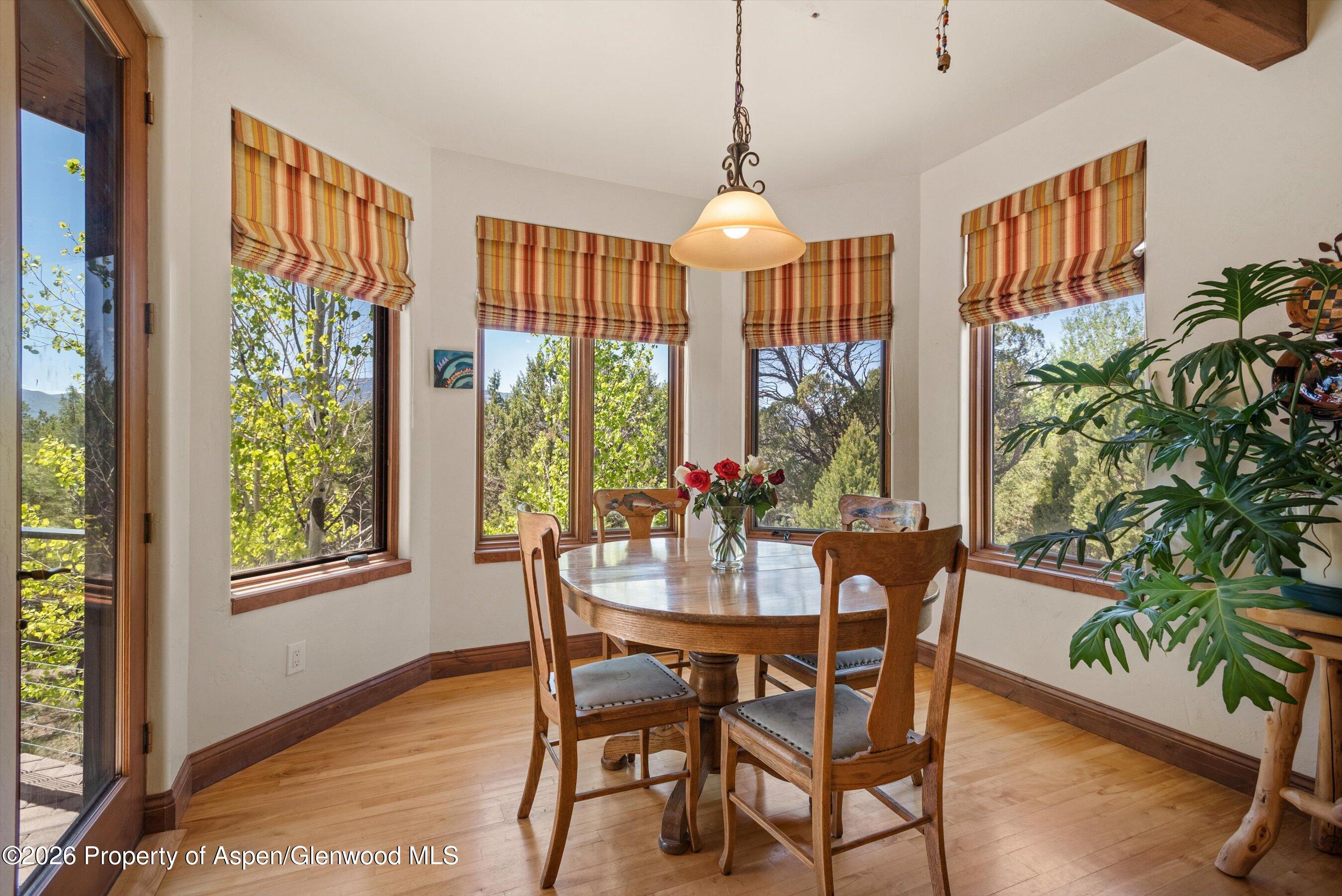 1155 Elk Springs Drive Glenwood Springs CO 81601