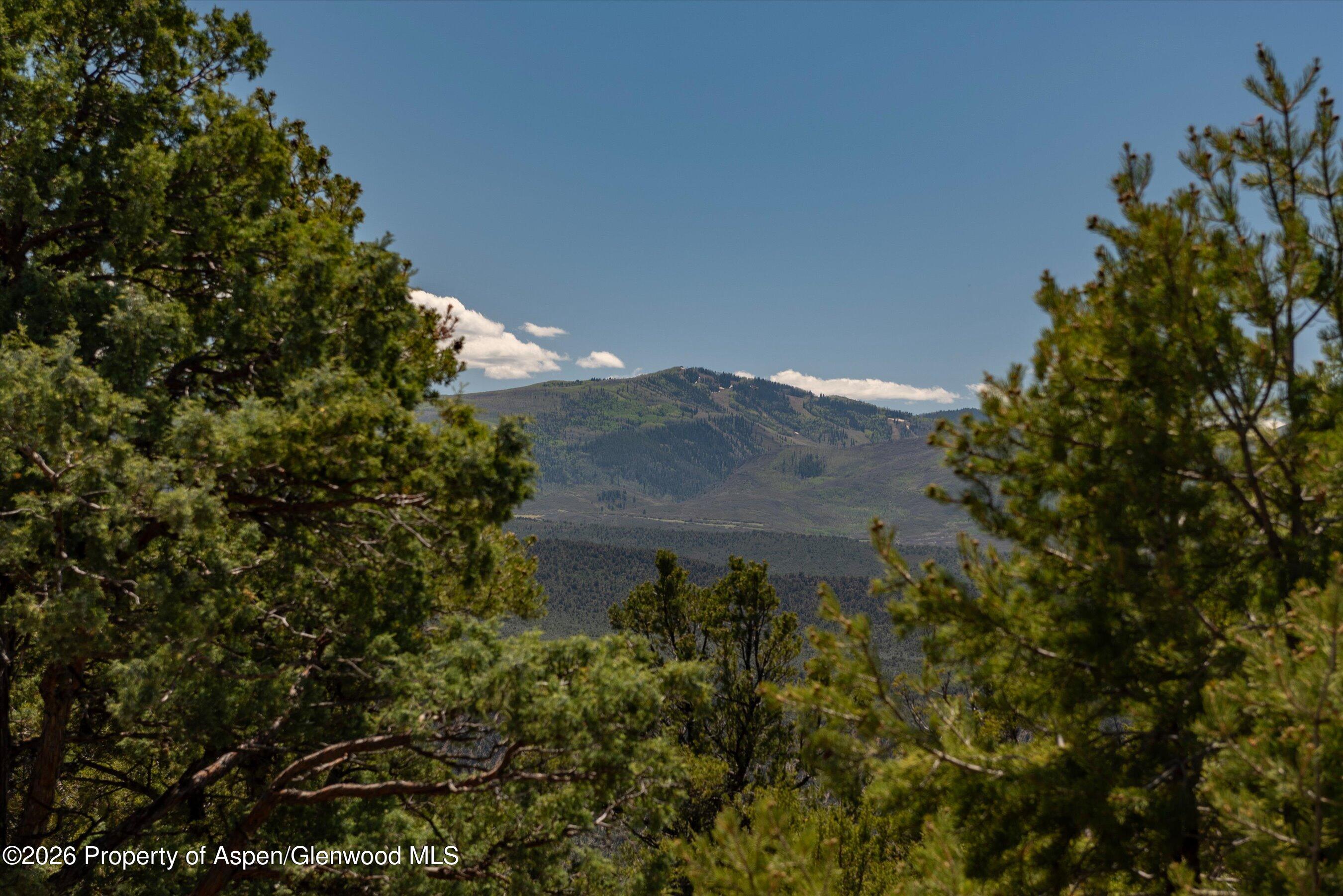 1155 Elk Springs Drive Glenwood Springs CO 81601