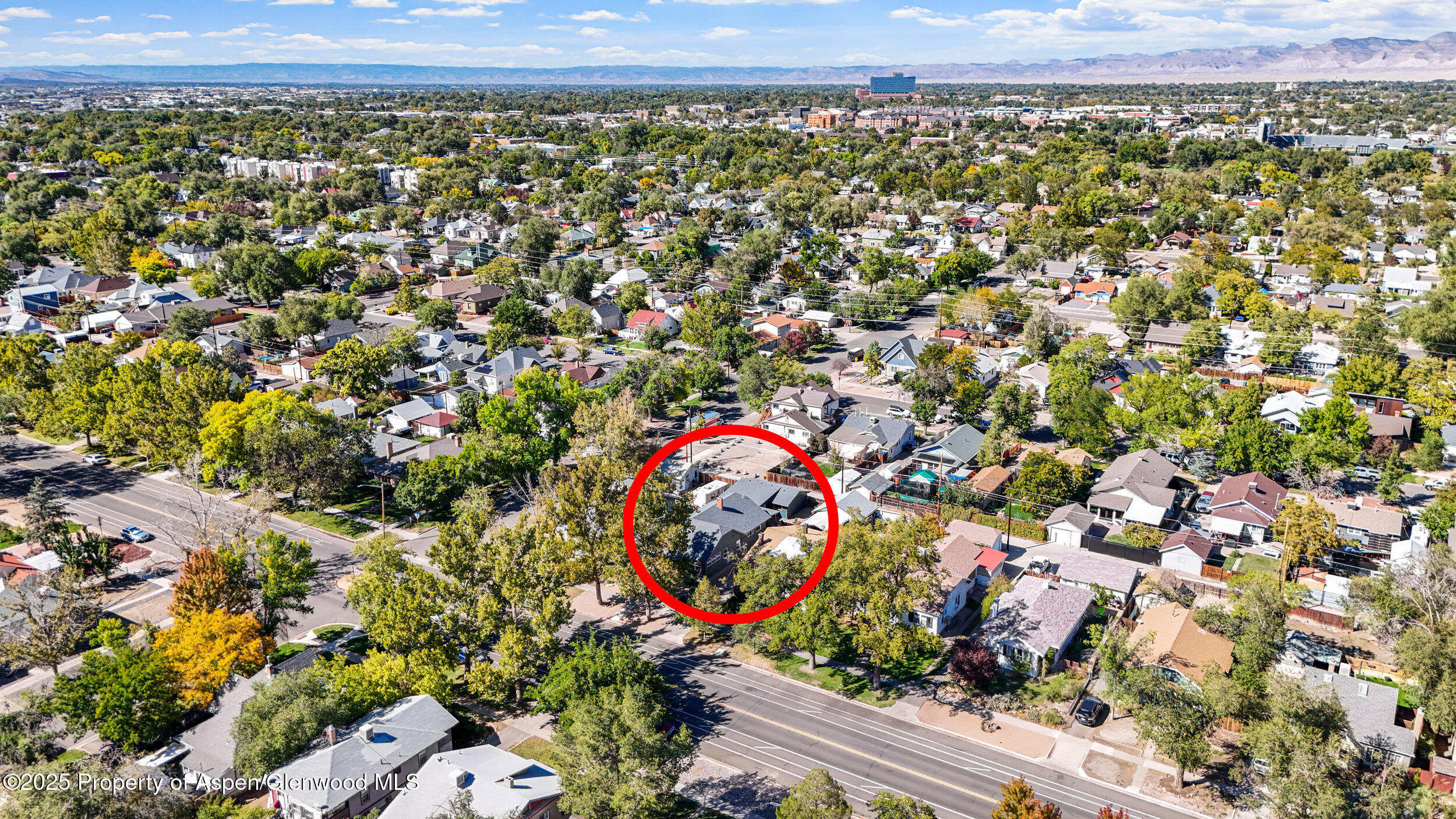 1314 Main Street Grand Junction CO 81501