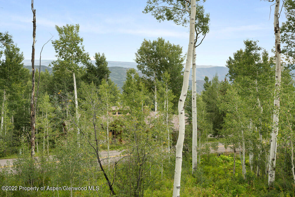 2055 Faraway Road Snowmass Village CO 81615
