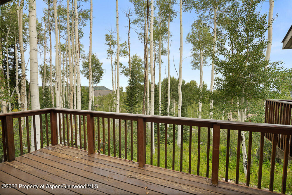2055 Faraway Road Snowmass Village CO 81615