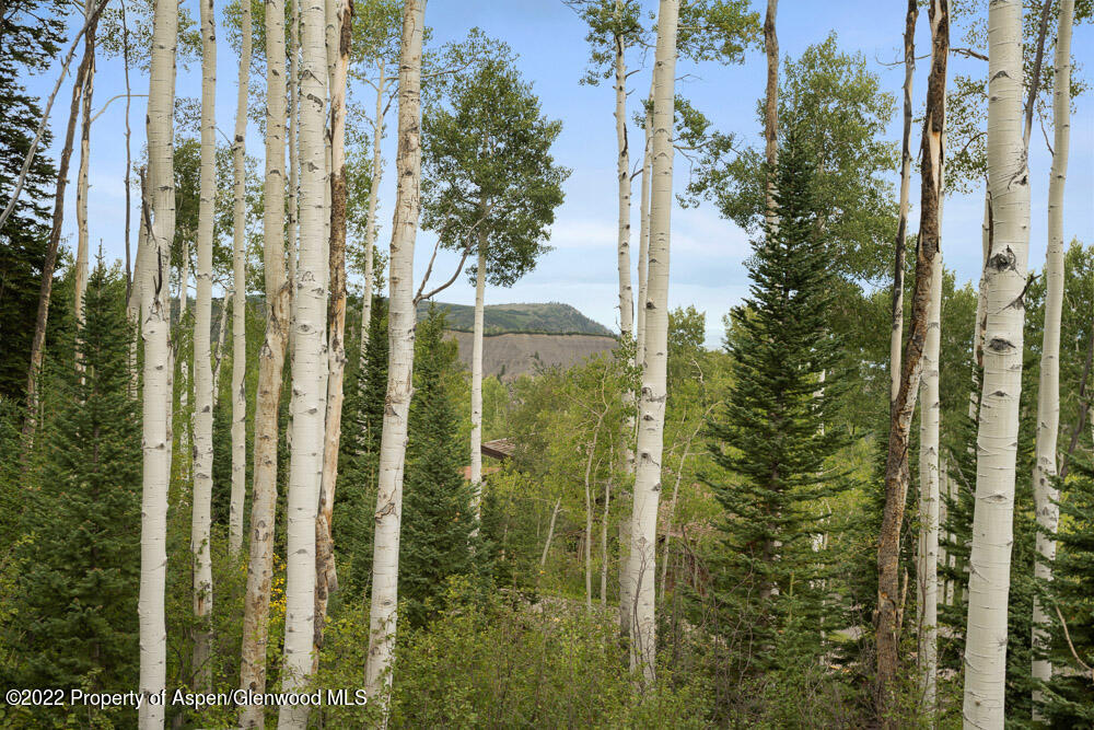 2055 Faraway Road Snowmass Village CO 81615