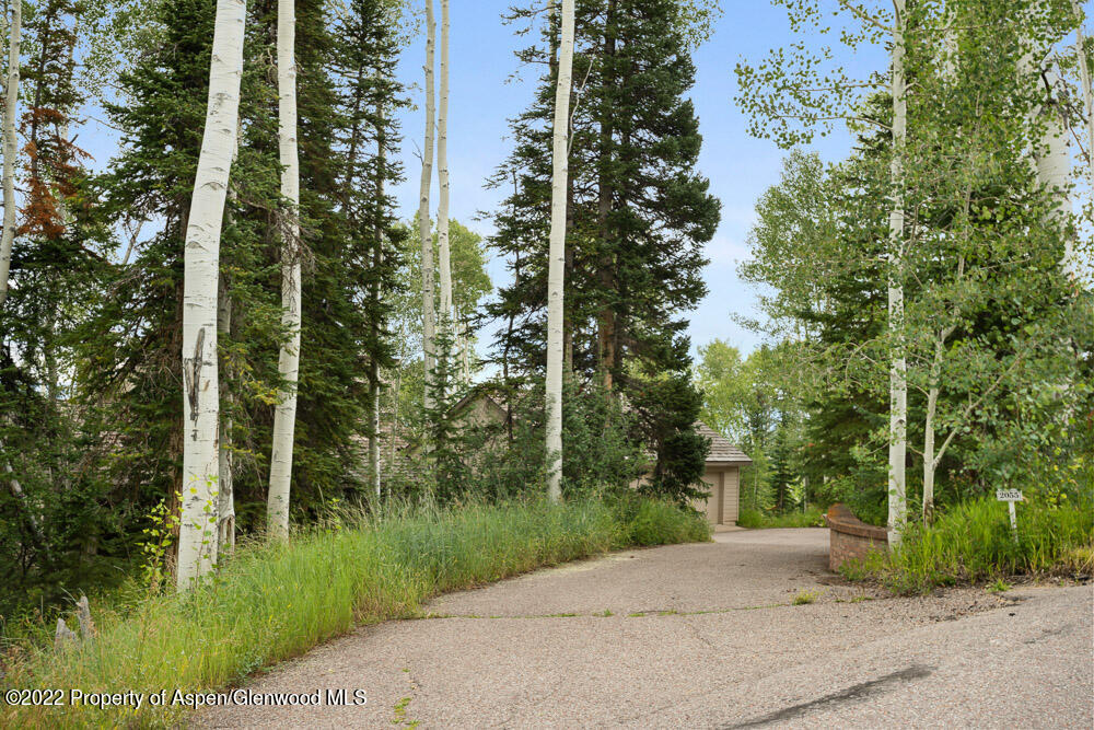 2055 Faraway Road Snowmass Village CO 81615