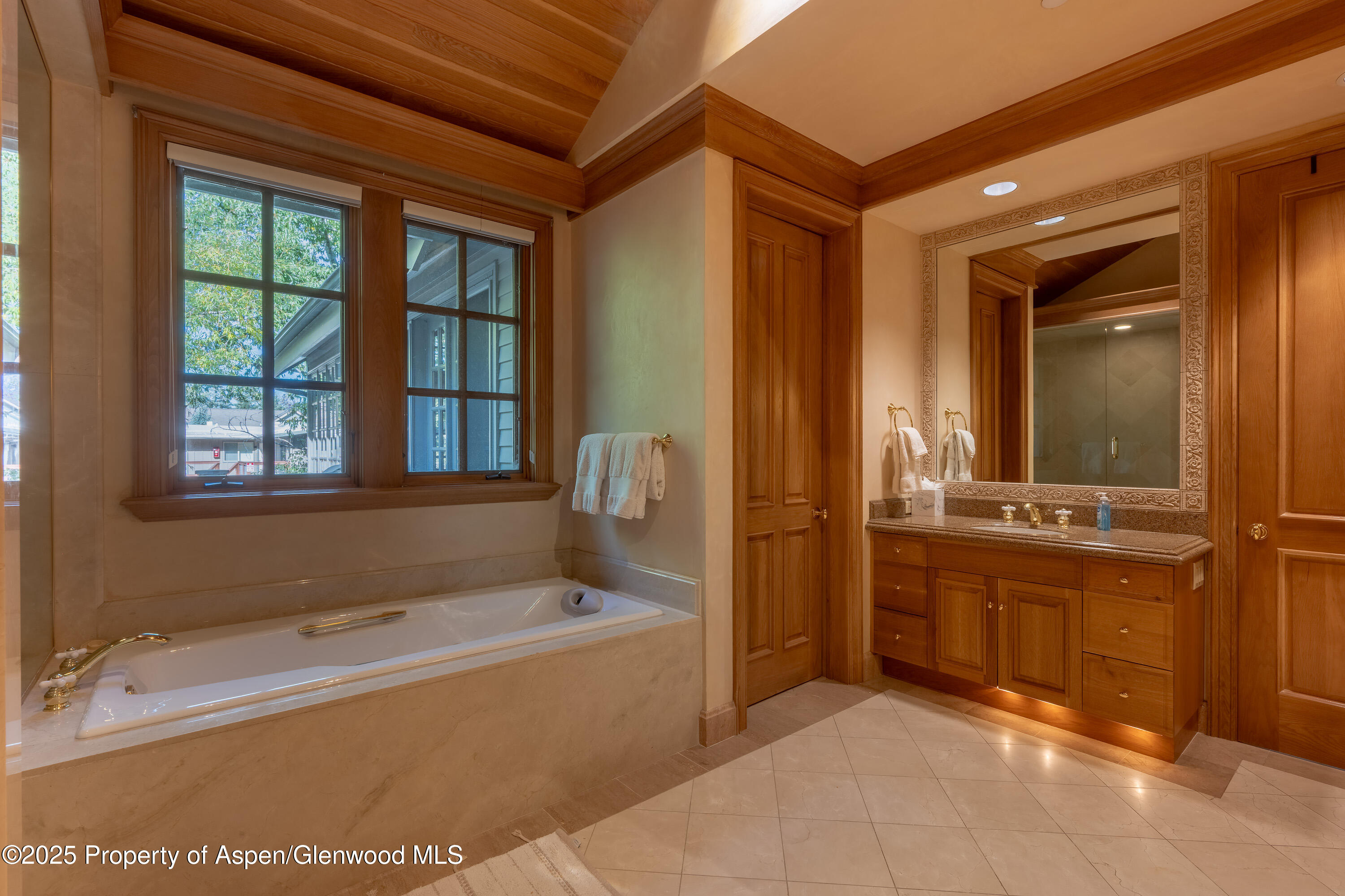 316 West End Street Aspen CO 81611