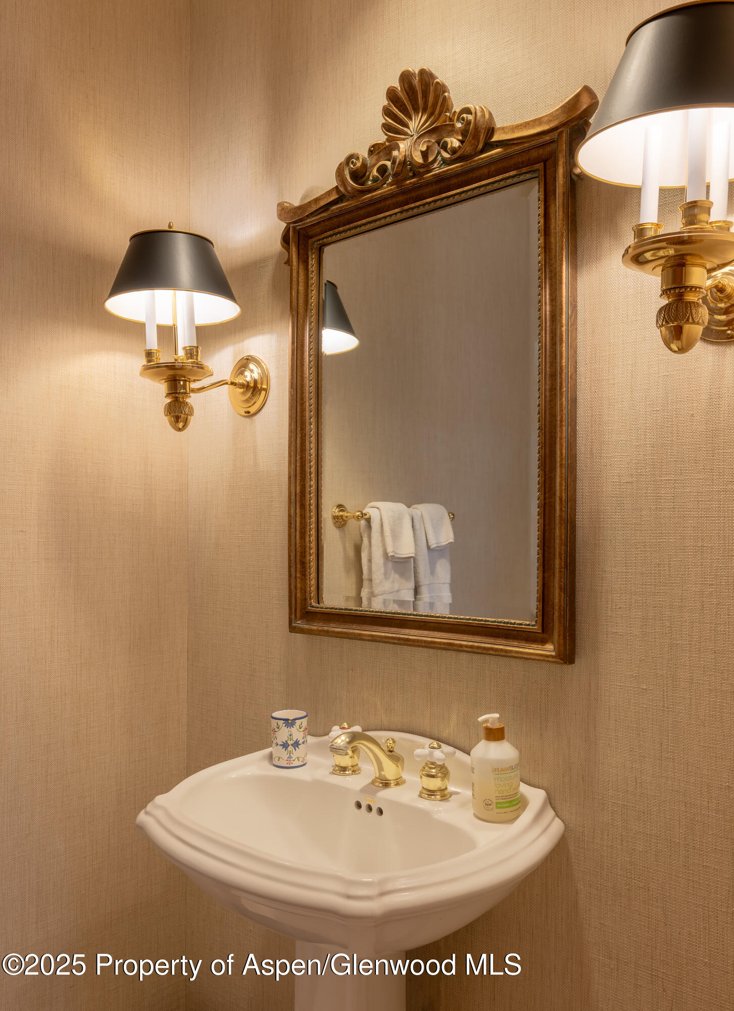 316 West End Street Aspen CO 81611