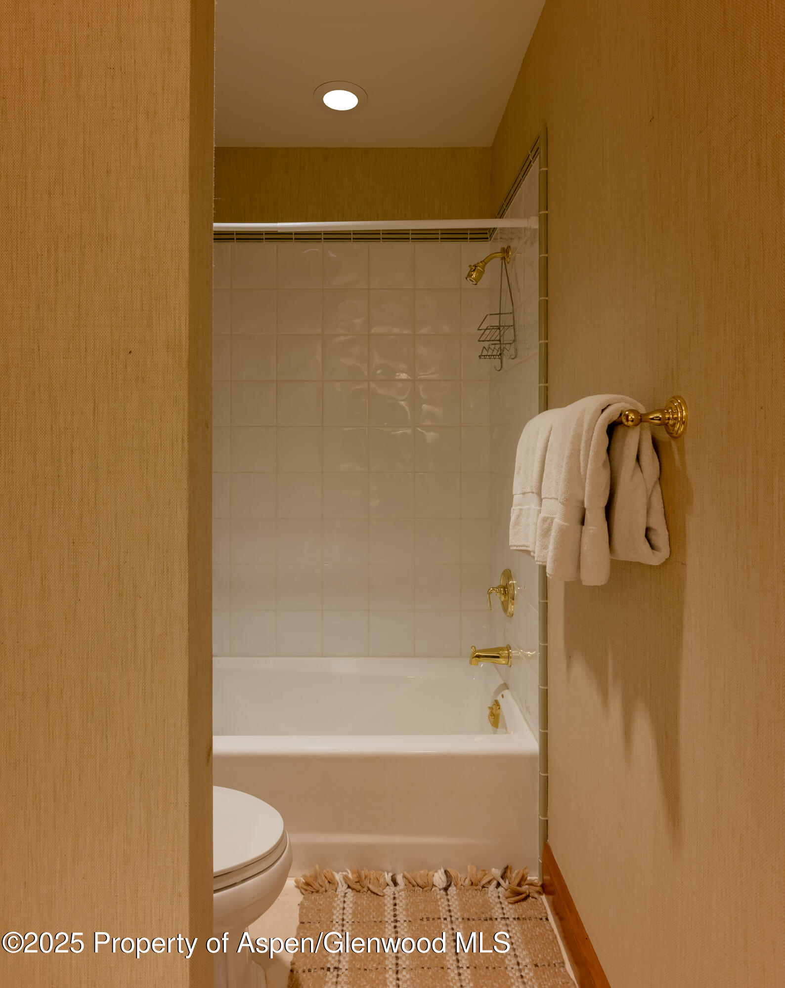 316 West End Street Aspen CO 81611