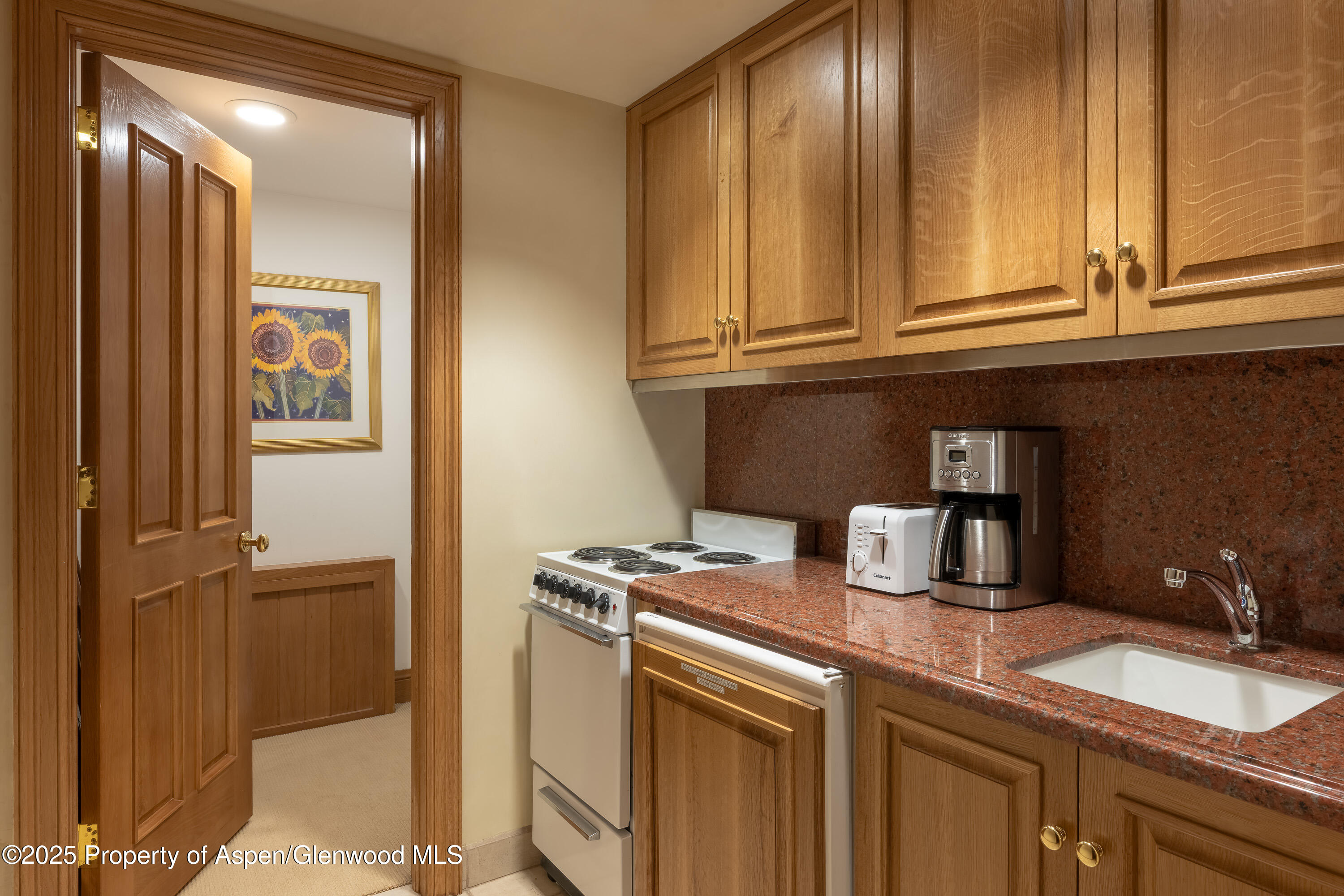 316 West End Street Aspen CO 81611