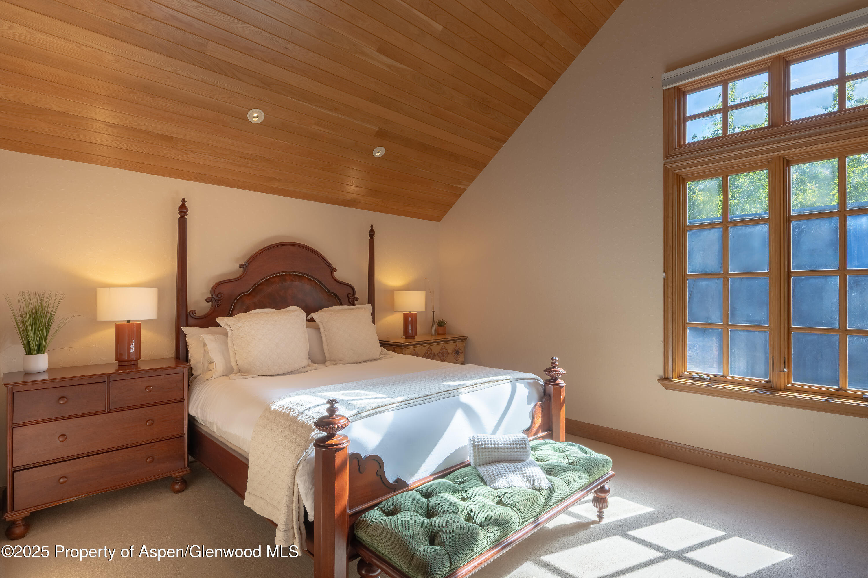 316 West End Street Aspen CO 81611