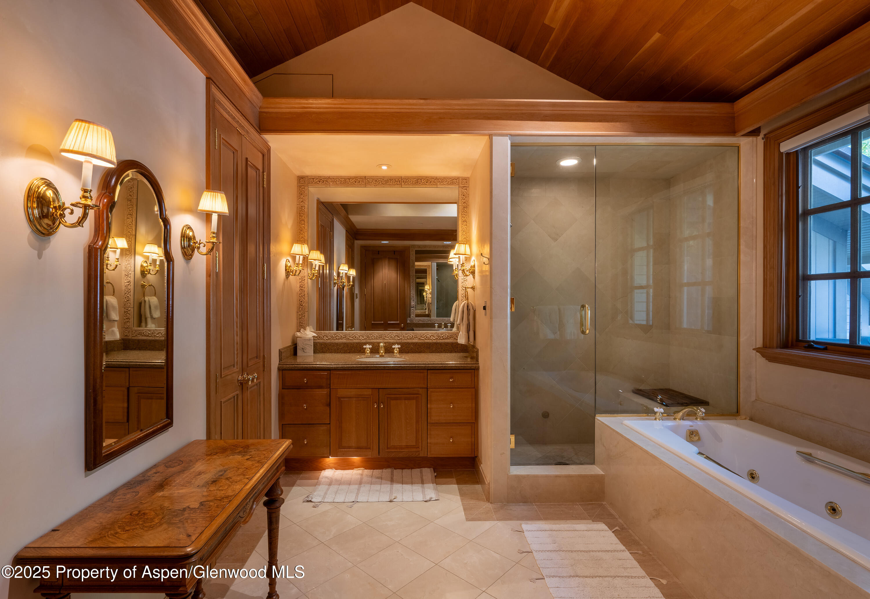 316 West End Street Aspen CO 81611