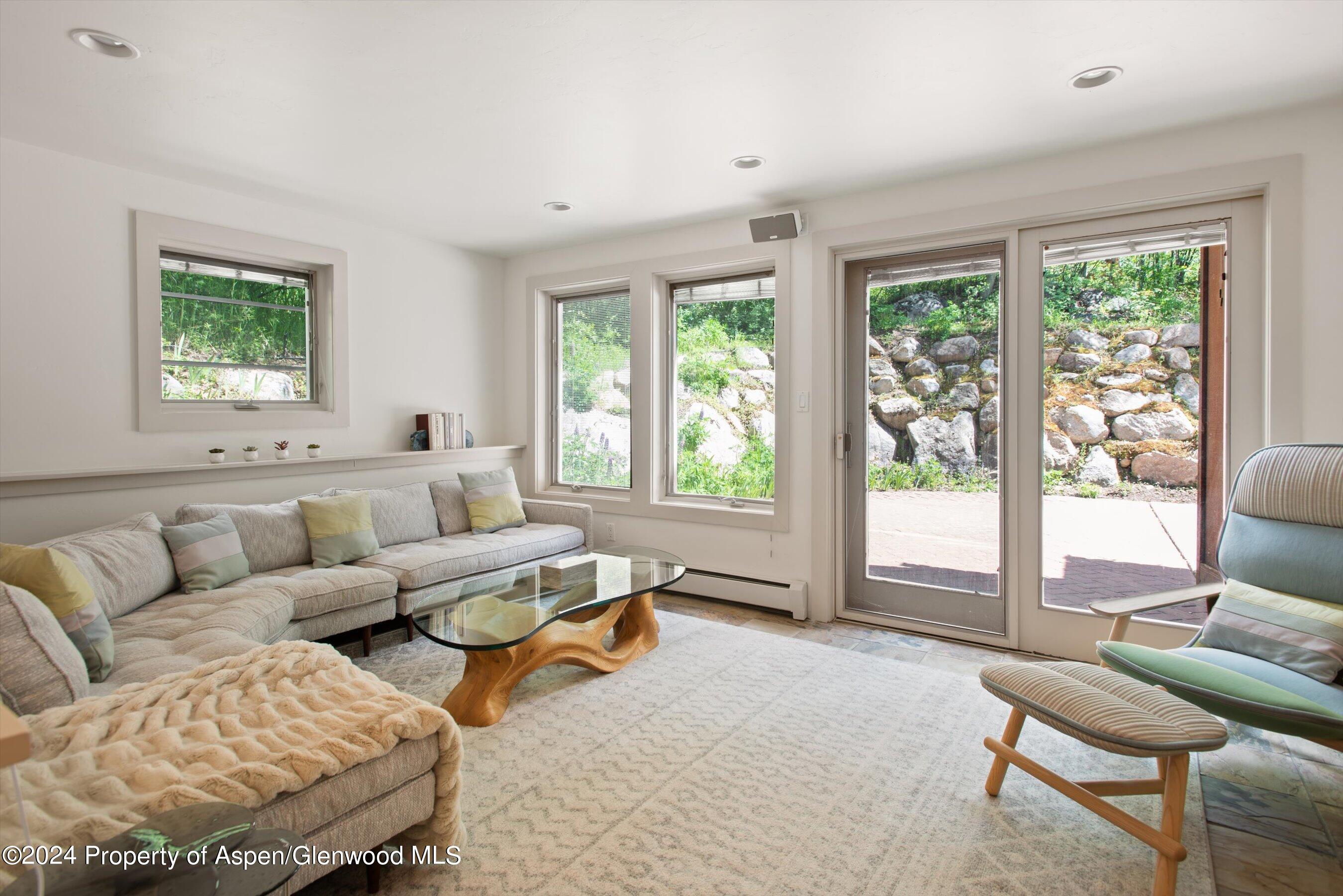 314 Mountain Laurel Drive Aspen CO 81611