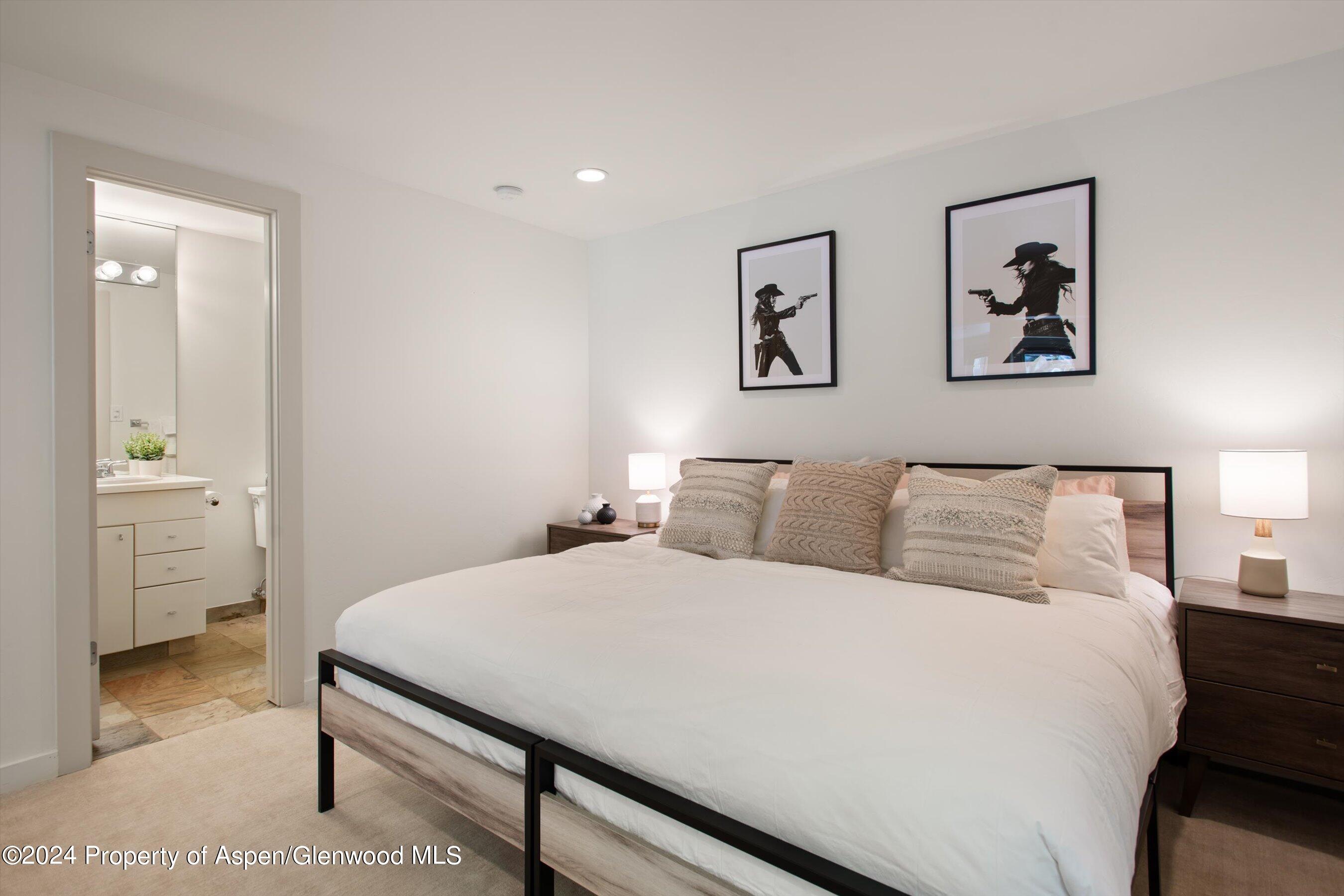 314 Mountain Laurel Drive Aspen CO 81611