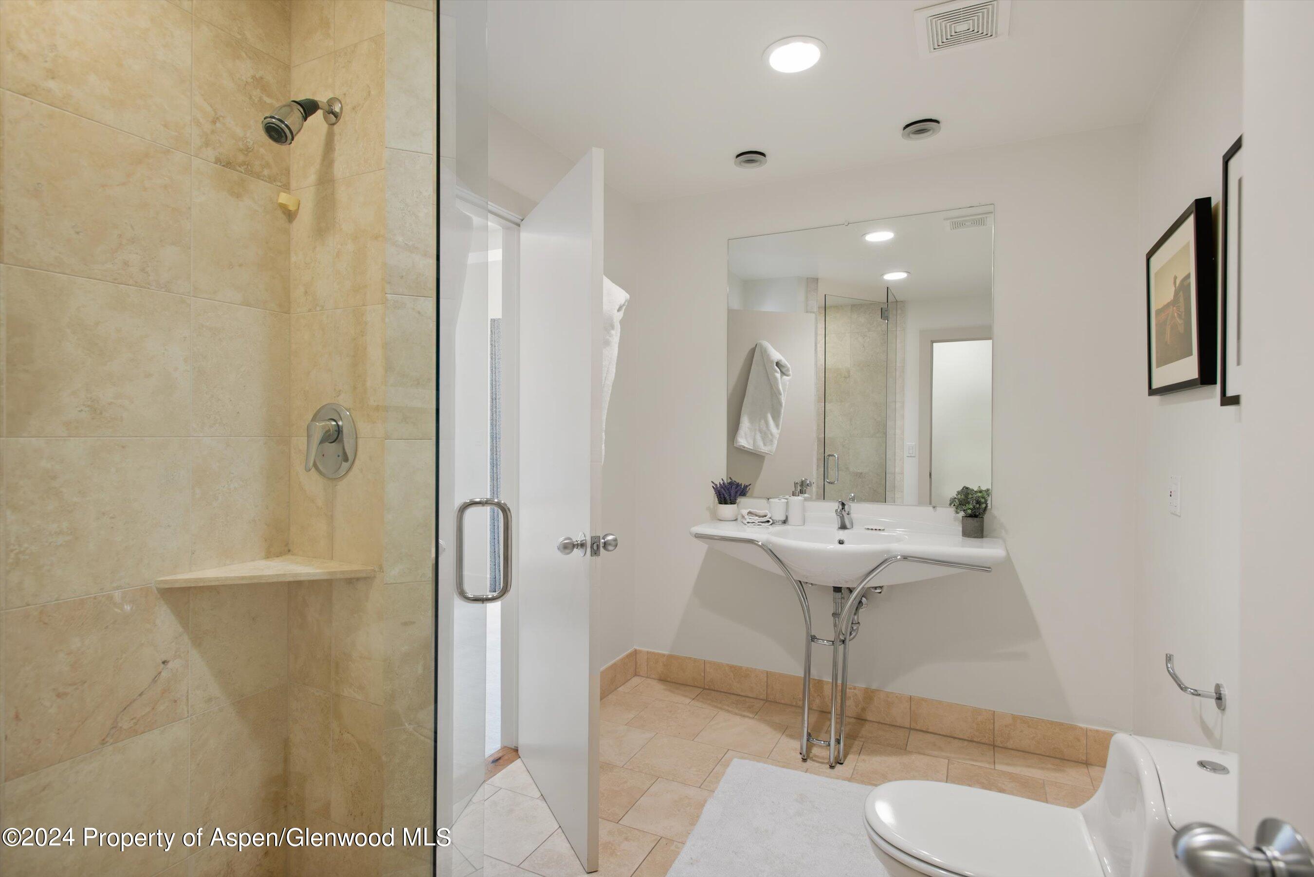 314 Mountain Laurel Drive Aspen CO 81611