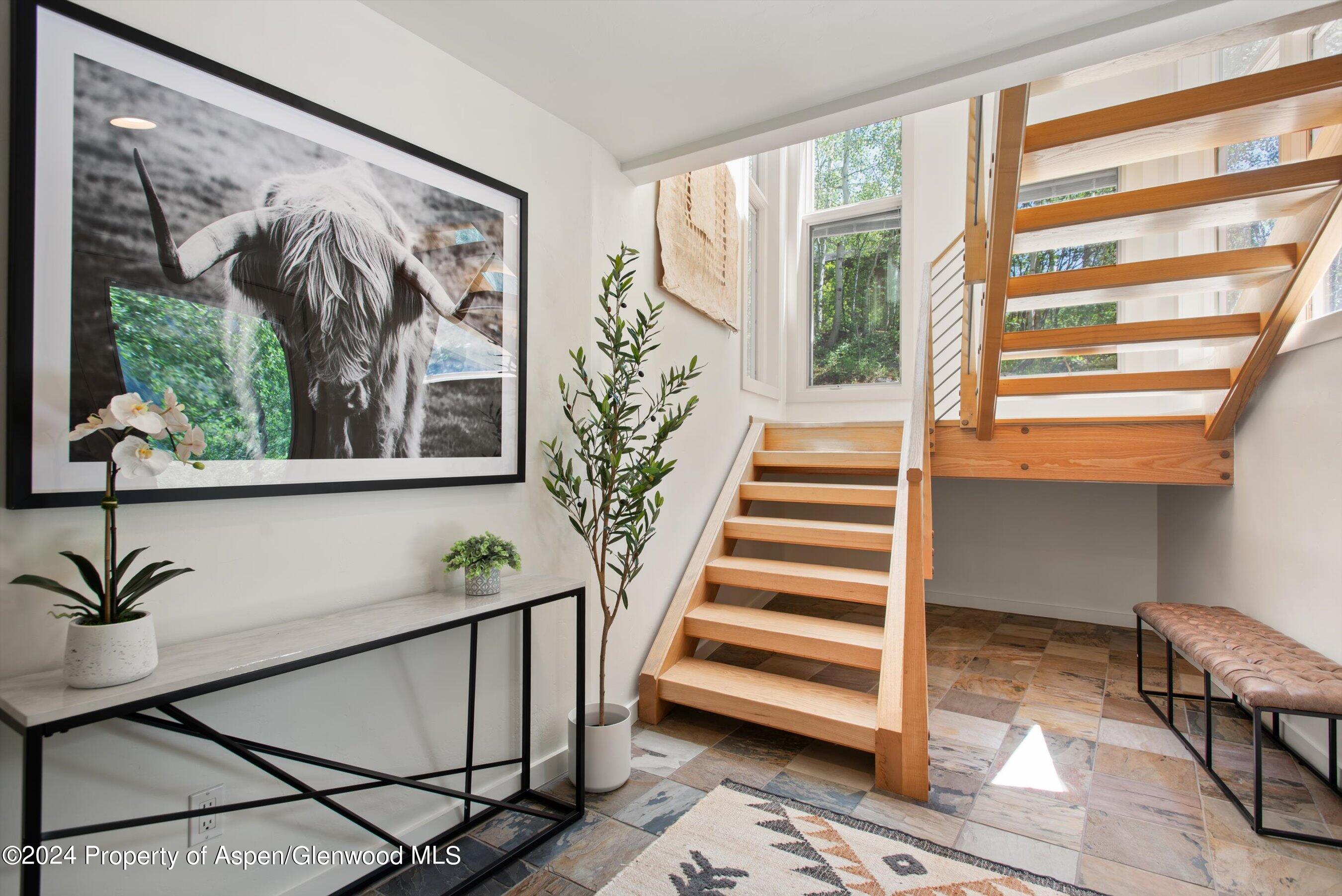 314 Mountain Laurel Drive Aspen CO 81611