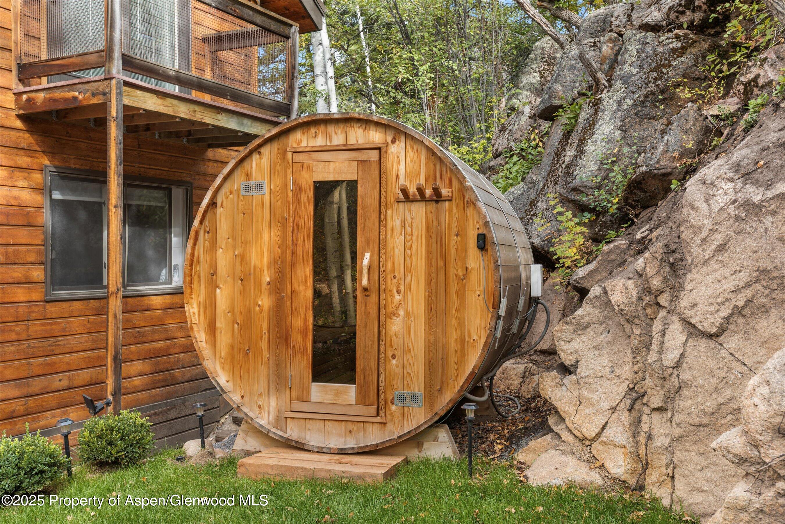 314 Mountain Laurel Drive Aspen CO 81611