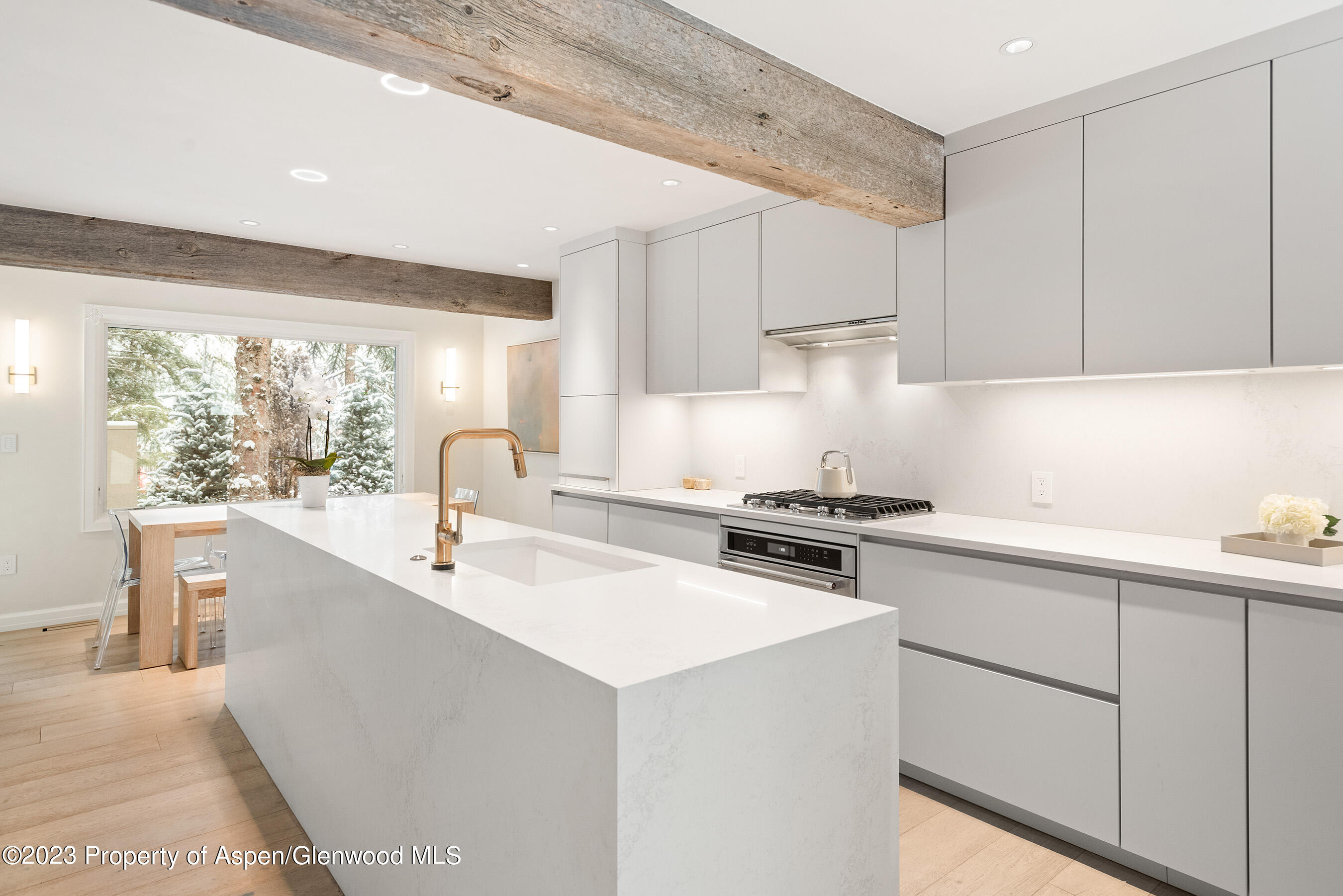 814 W Bleeker Street Aspen CO 81611