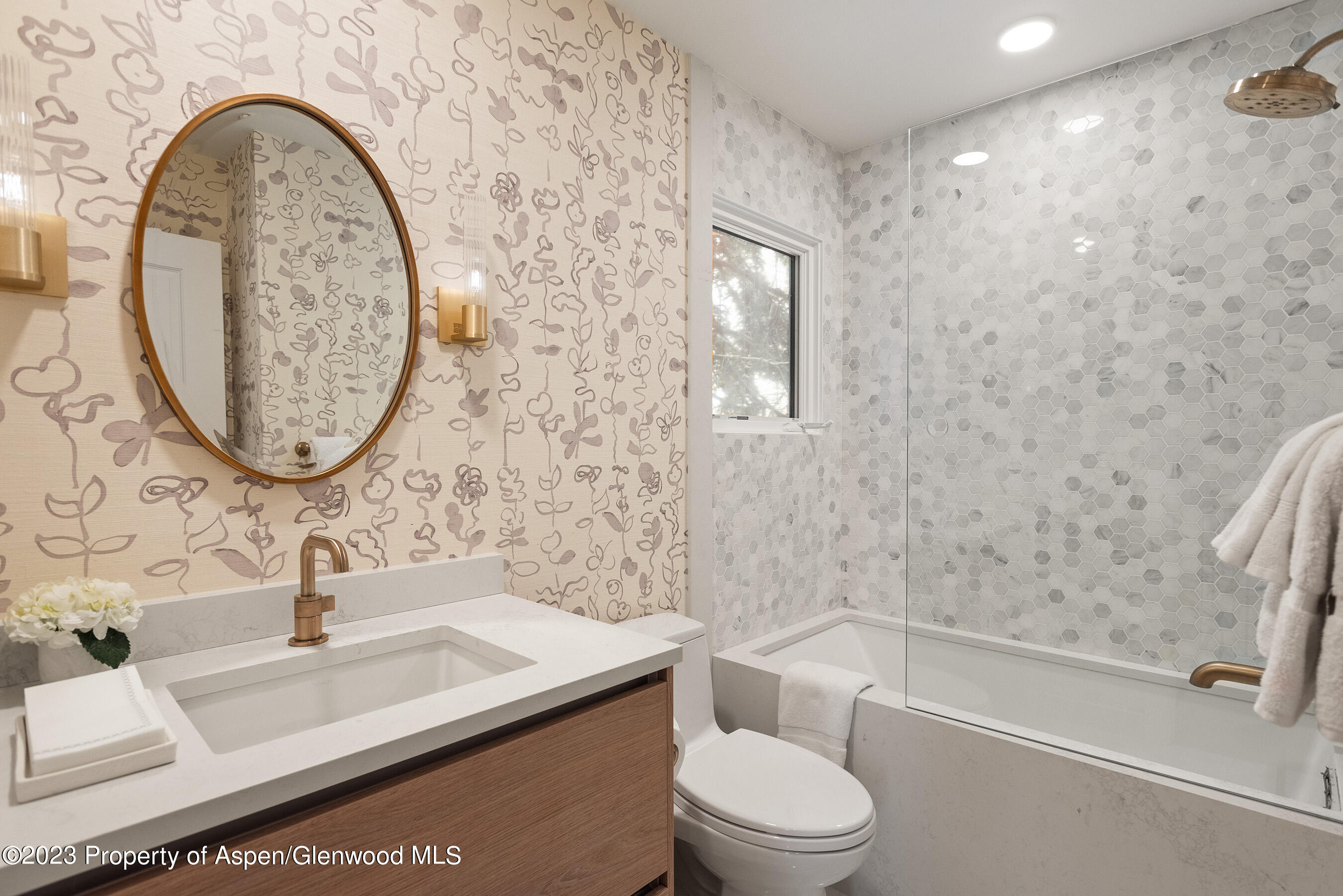 814 W Bleeker Street Aspen CO 81611