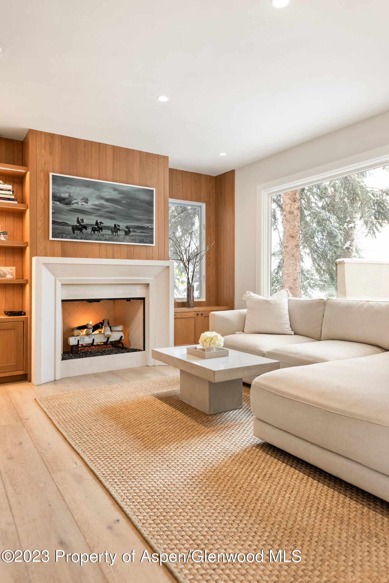 814 W Bleeker Street Aspen CO 81611