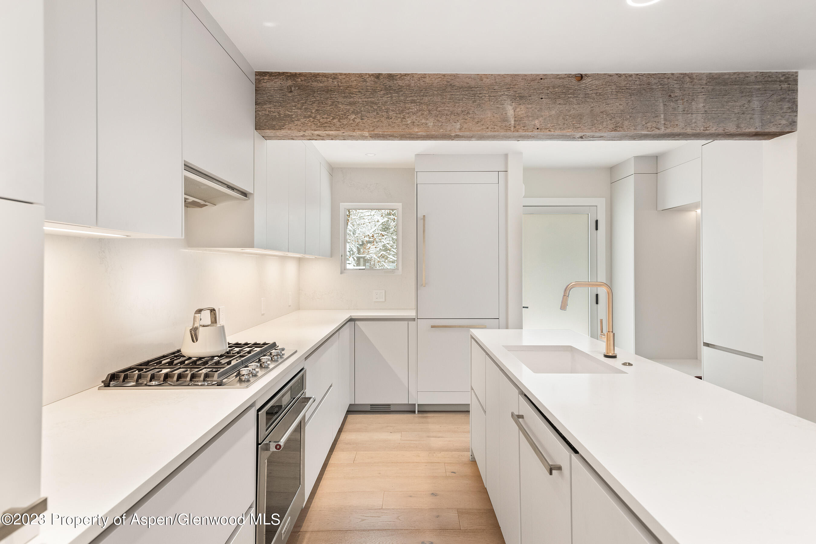 814 W Bleeker Street Aspen CO 81611