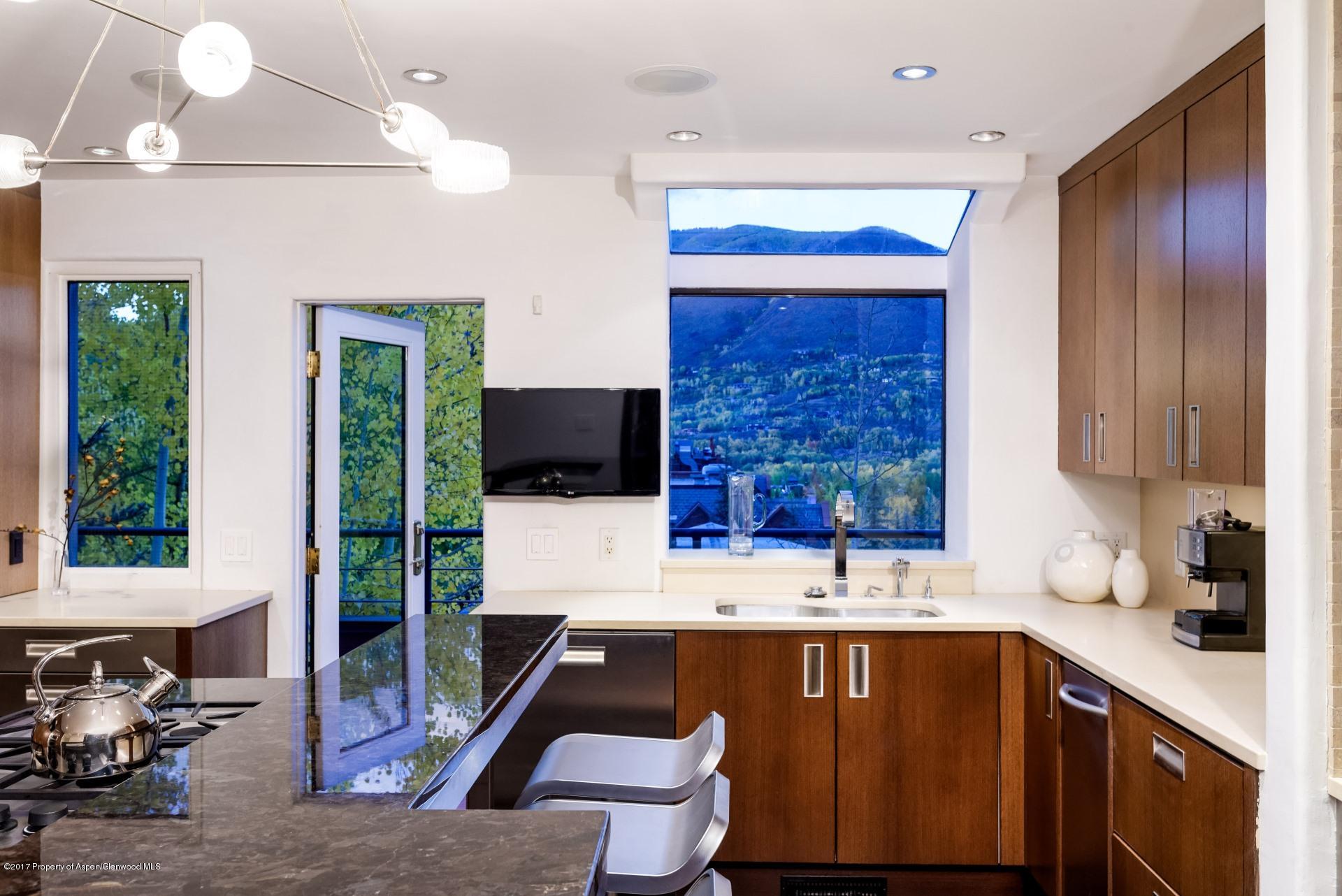 342 Summit Street Aspen CO 81611