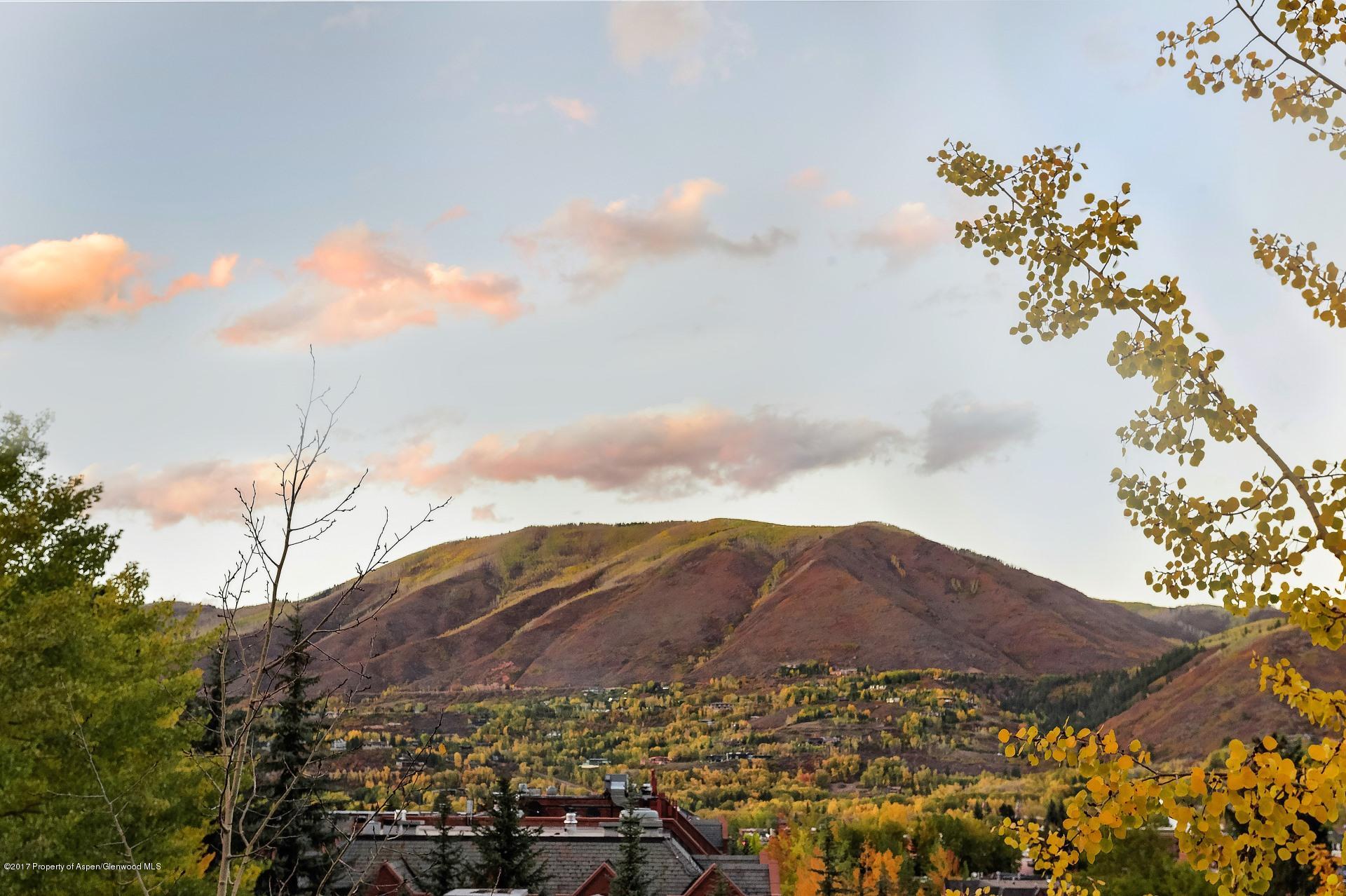 342 Summit Street Aspen CO 81611
