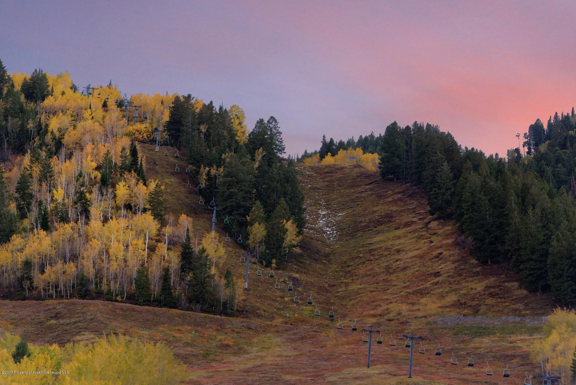 342 Summit Street Aspen CO 81611