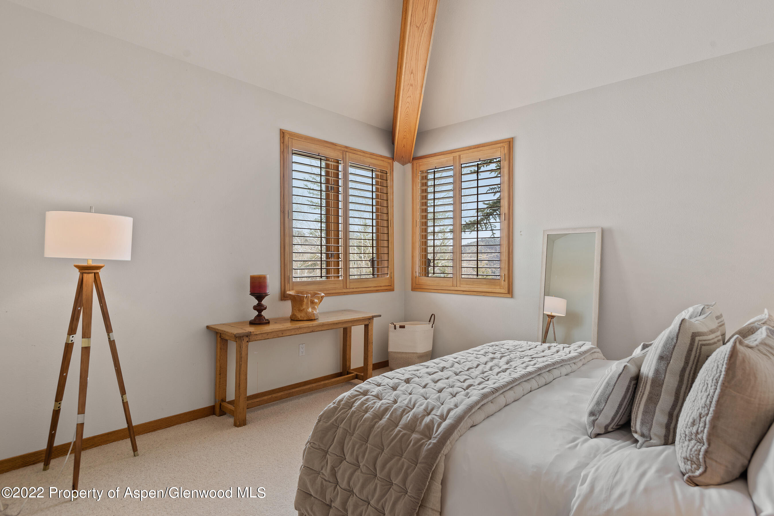 124 Fox Lane Snowmass Village CO 81615