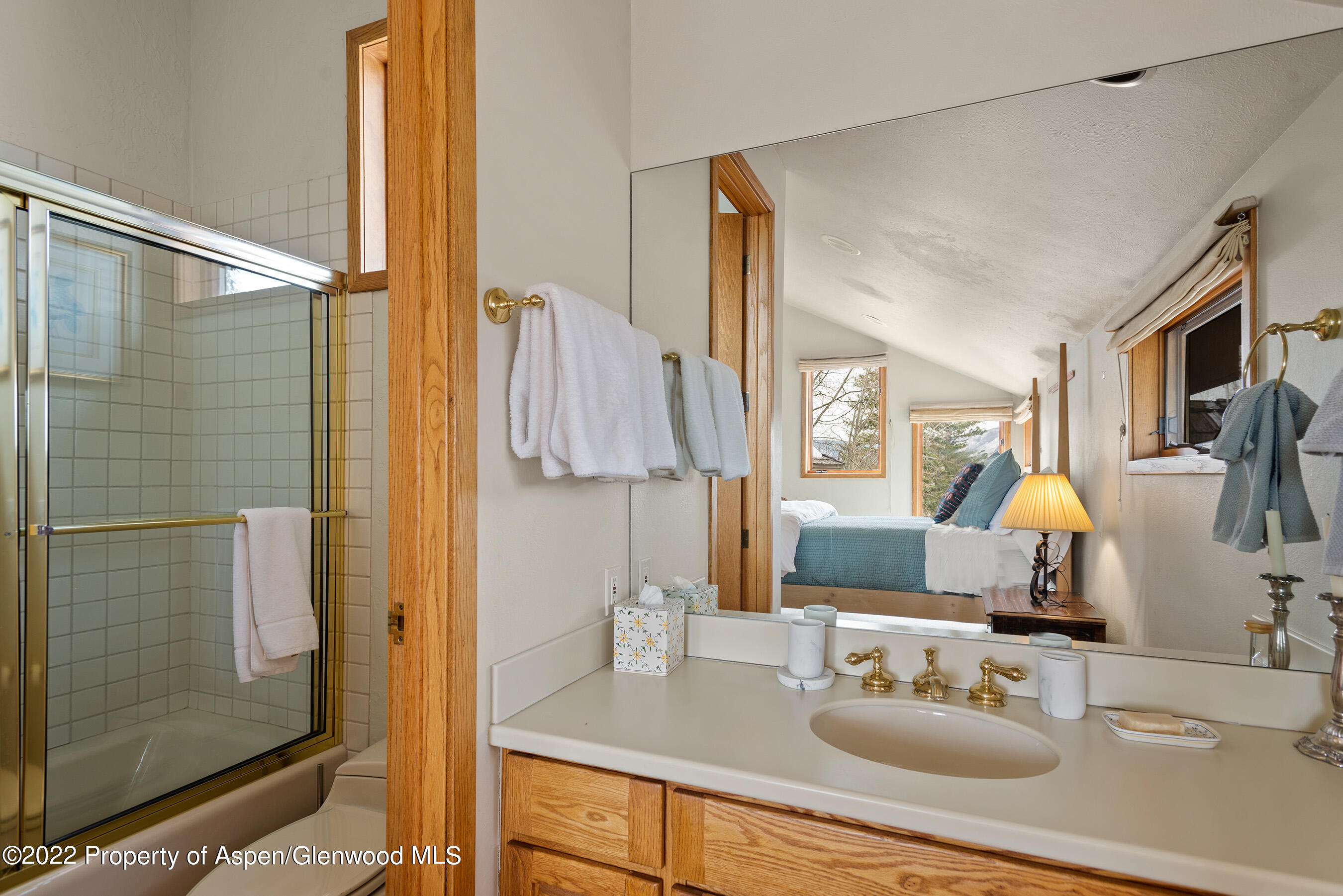 124 Fox Lane Snowmass Village CO 81615