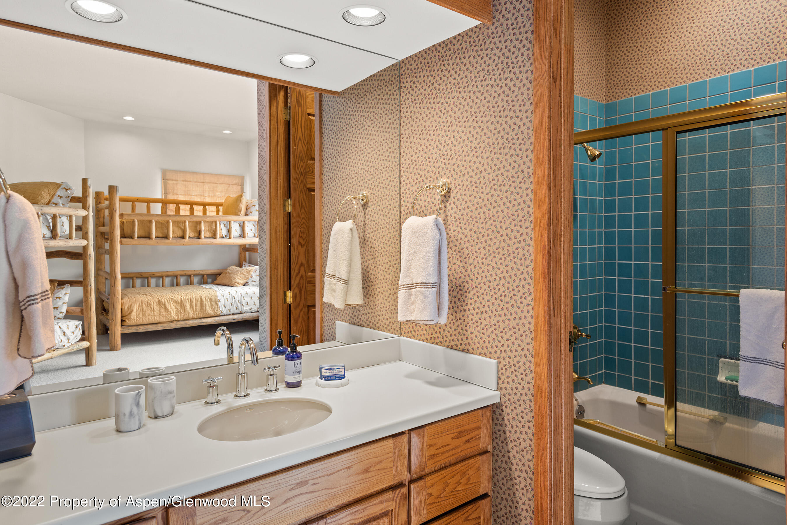 124 Fox Lane Snowmass Village CO 81615